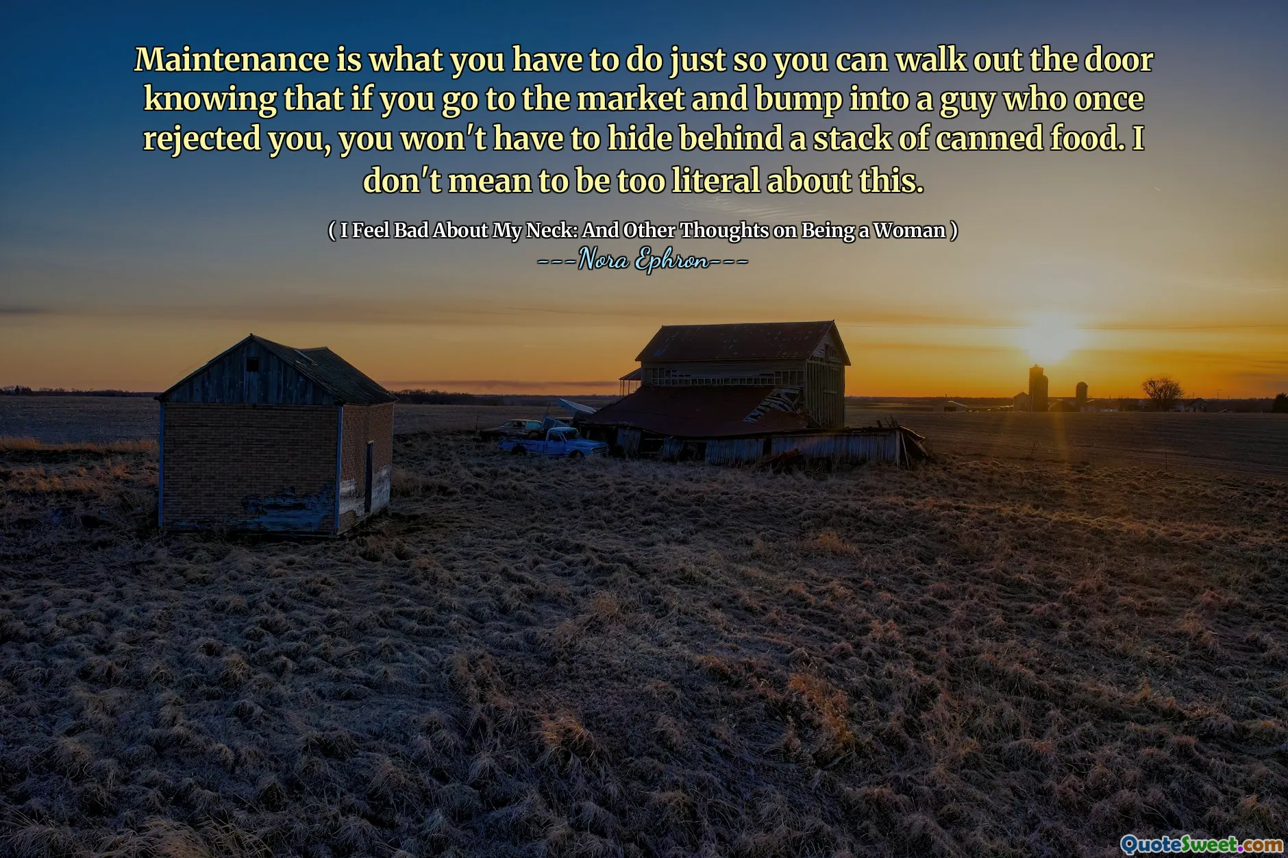 Maintenance is what you have to do just so you can walk out the door knowing that if you go to the market and bump into a guy who once rejected you, you won't have to hide behind a stack of canned food. I don't mean to be too literal about this.