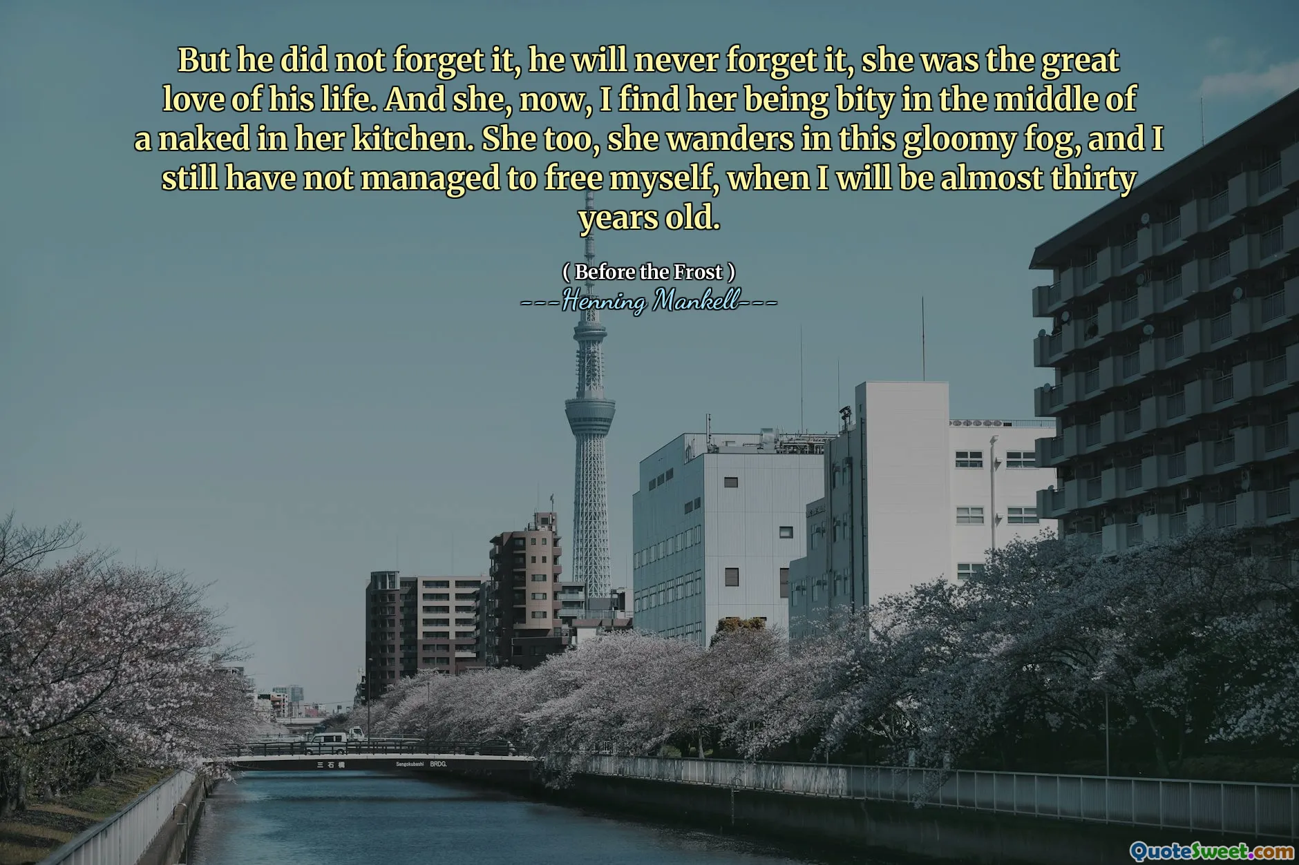 But he did not forget it, he will never forget it, she was the great love of his life. And she, now, I find her being bity in the middle of a naked in her kitchen. She too, she wanders in this gloomy fog, and I still have not managed to free myself, when I will be almost thirty years old.