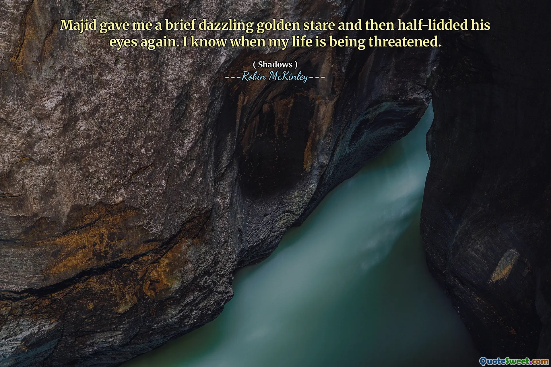 Majid gave me a brief dazzling golden stare and then half-lidded his eyes again. I know when my life is being threatened.