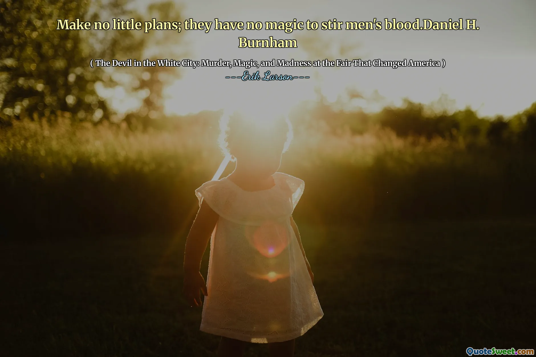 Make no little plans; they have no magic to stir men's blood.Daniel H. Burnham