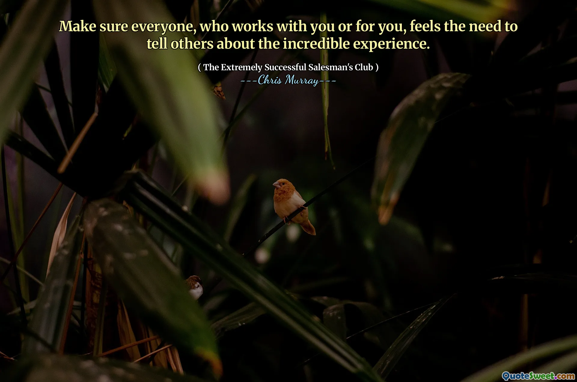 Assicurati che tutti, che lavorano con te o per te, sentano il bisogno di raccontare agli altri l'incredibile esperienza.