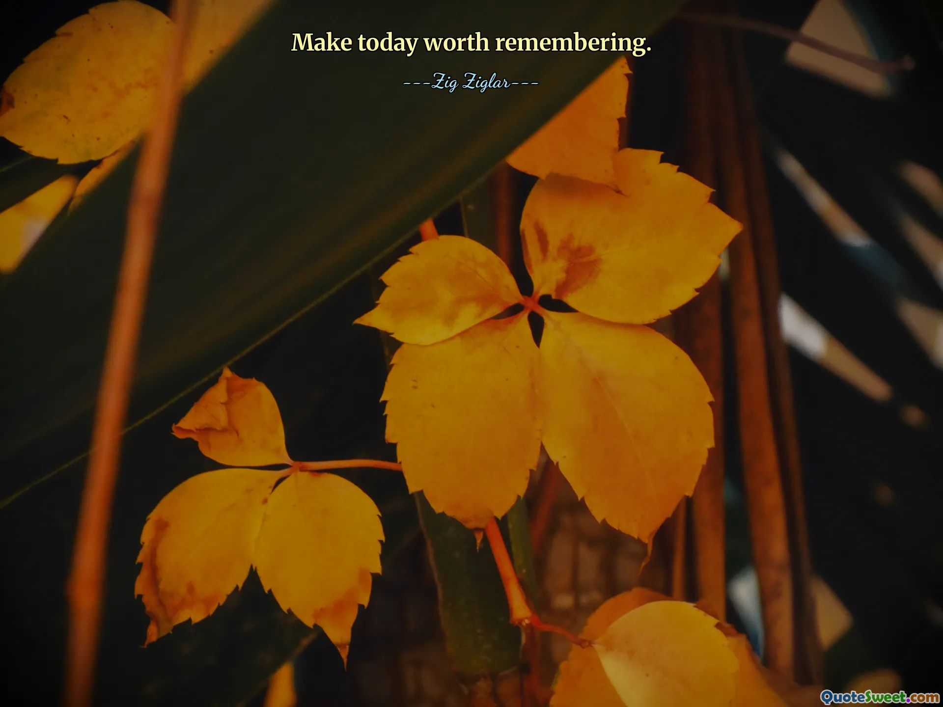 Make today worth remembering.