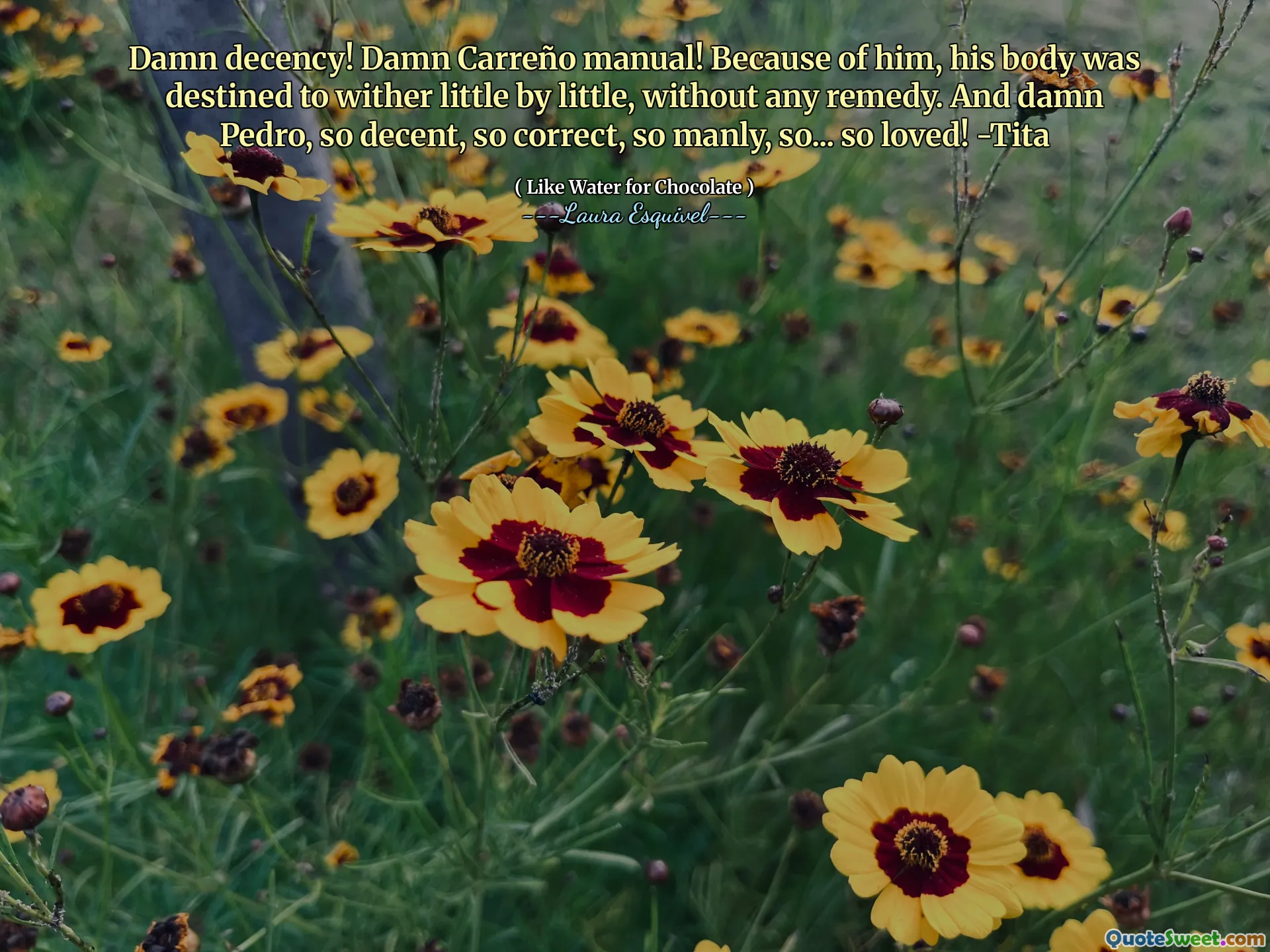 Kesusilaan sialan! Manual Carreño sialan! Karena dia, tubuhnya ditakdirkan untuk Wither sedikit demi sedikit, tanpa obat apa pun. Dan Pedro sialan, sangat layak, sangat benar, sangat jantan, jadi ... sangat dicintai! -Tita