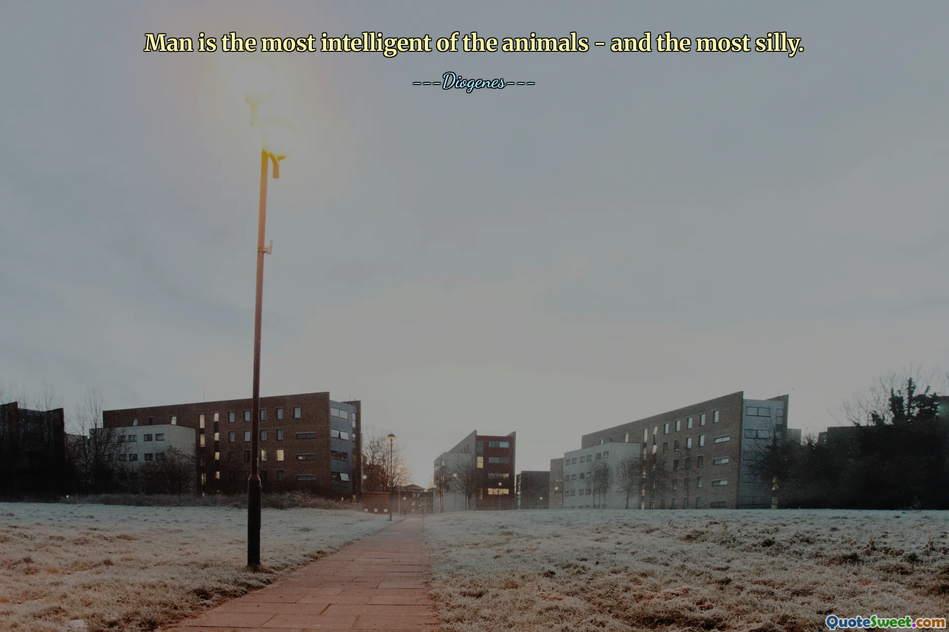 De mens is de intelligentste van alle dieren – en de domste.