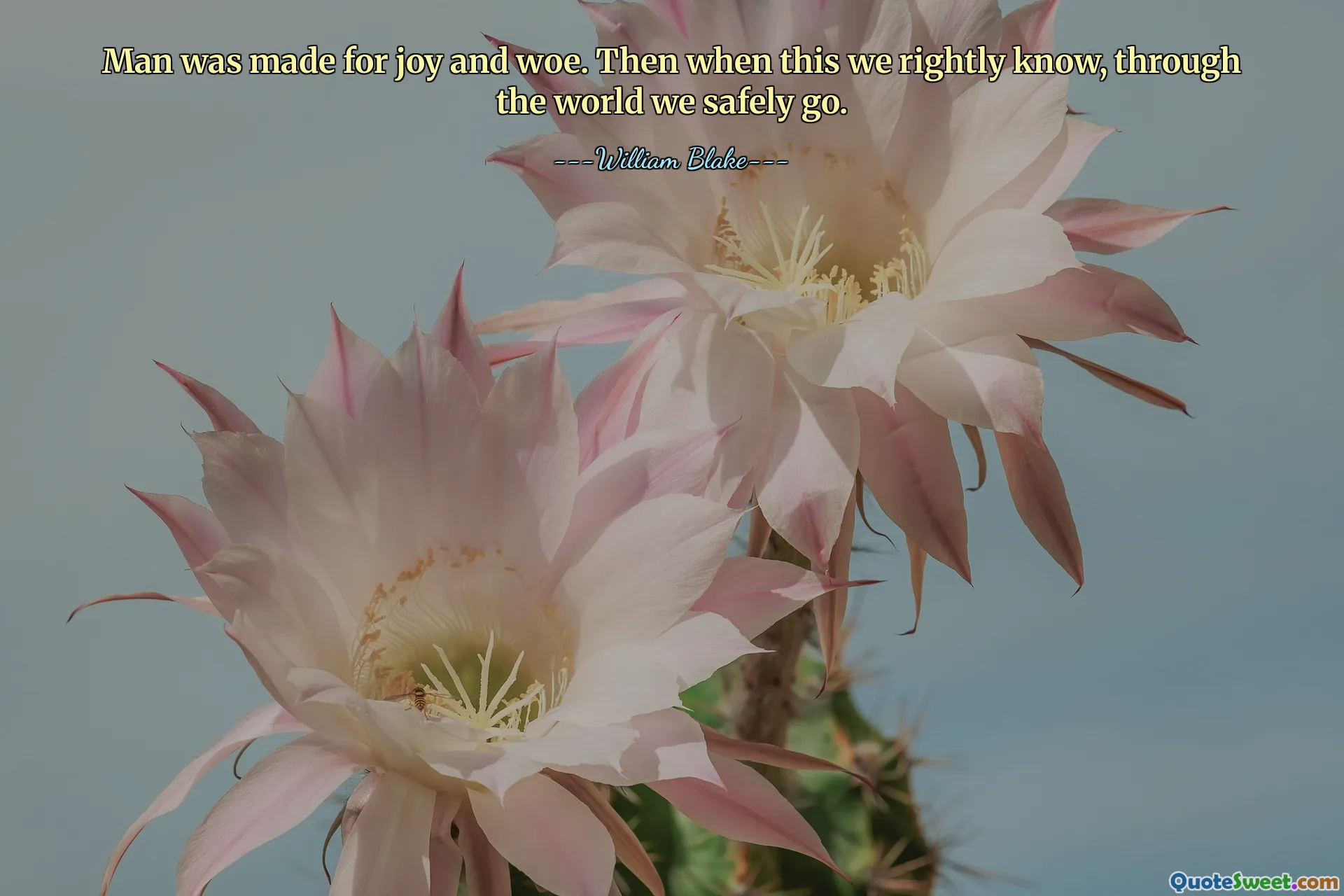 Man was made for joy and woe. Then when this we rightly know, through the world we safely go.