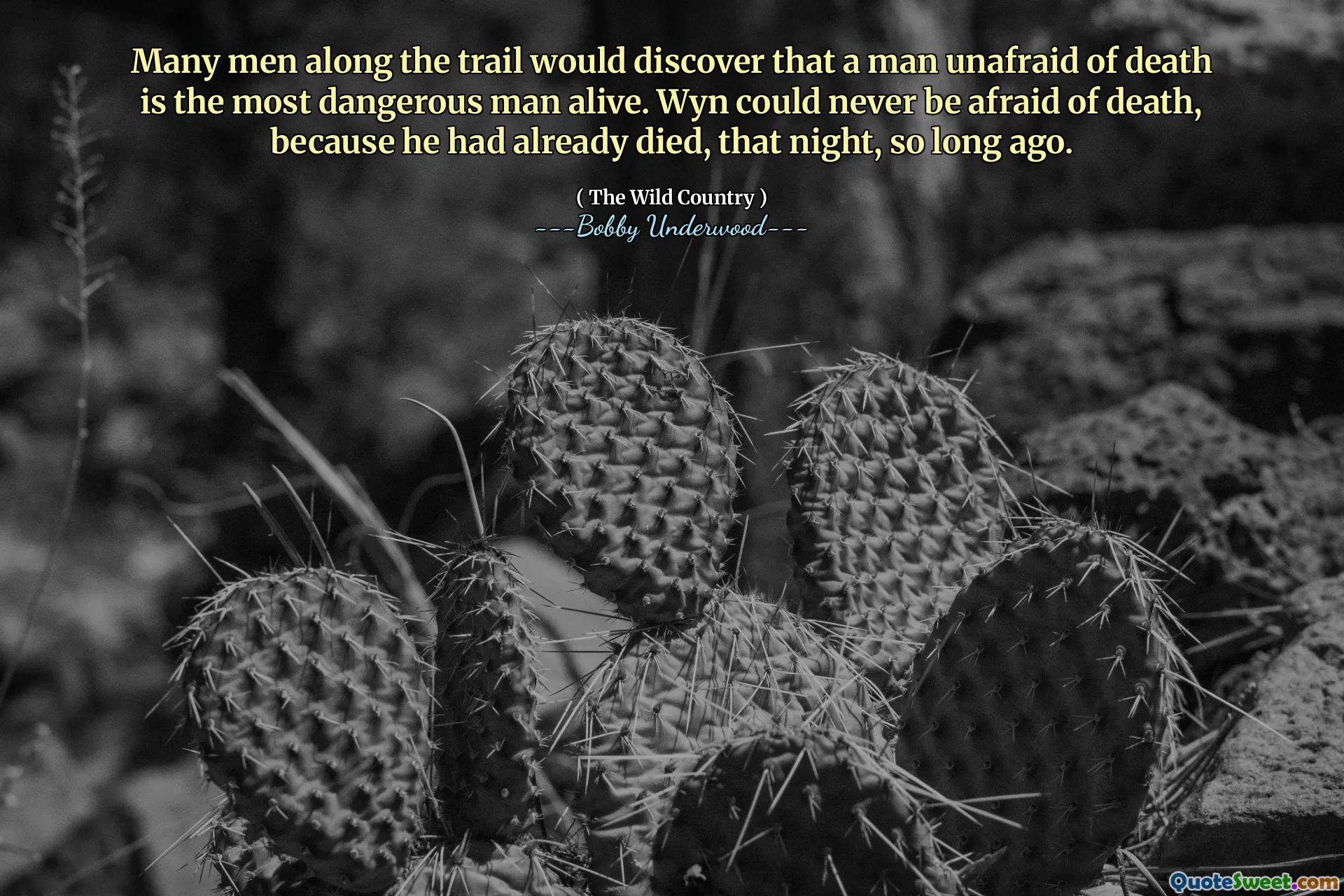 Many men along the trail would discover that a man unafraid of death is the most dangerous man alive. Wyn could never be afraid of death, because he had already died, that night, so long ago.
