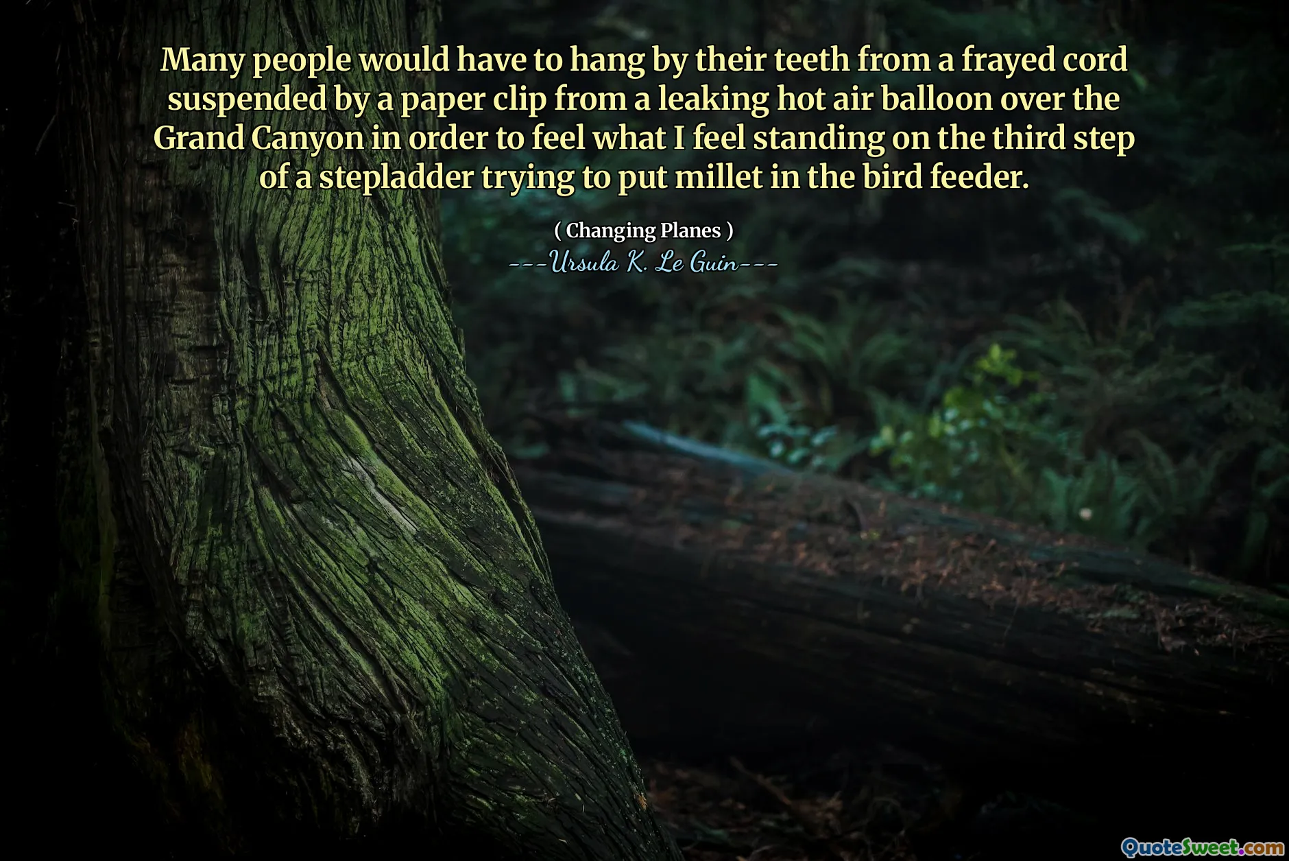 Many people would have to hang by their teeth from a frayed cord suspended by a paper clip from a leaking hot air balloon over the Grand Canyon in order to feel what I feel standing on the third step of a stepladder trying to put millet in the bird feeder.