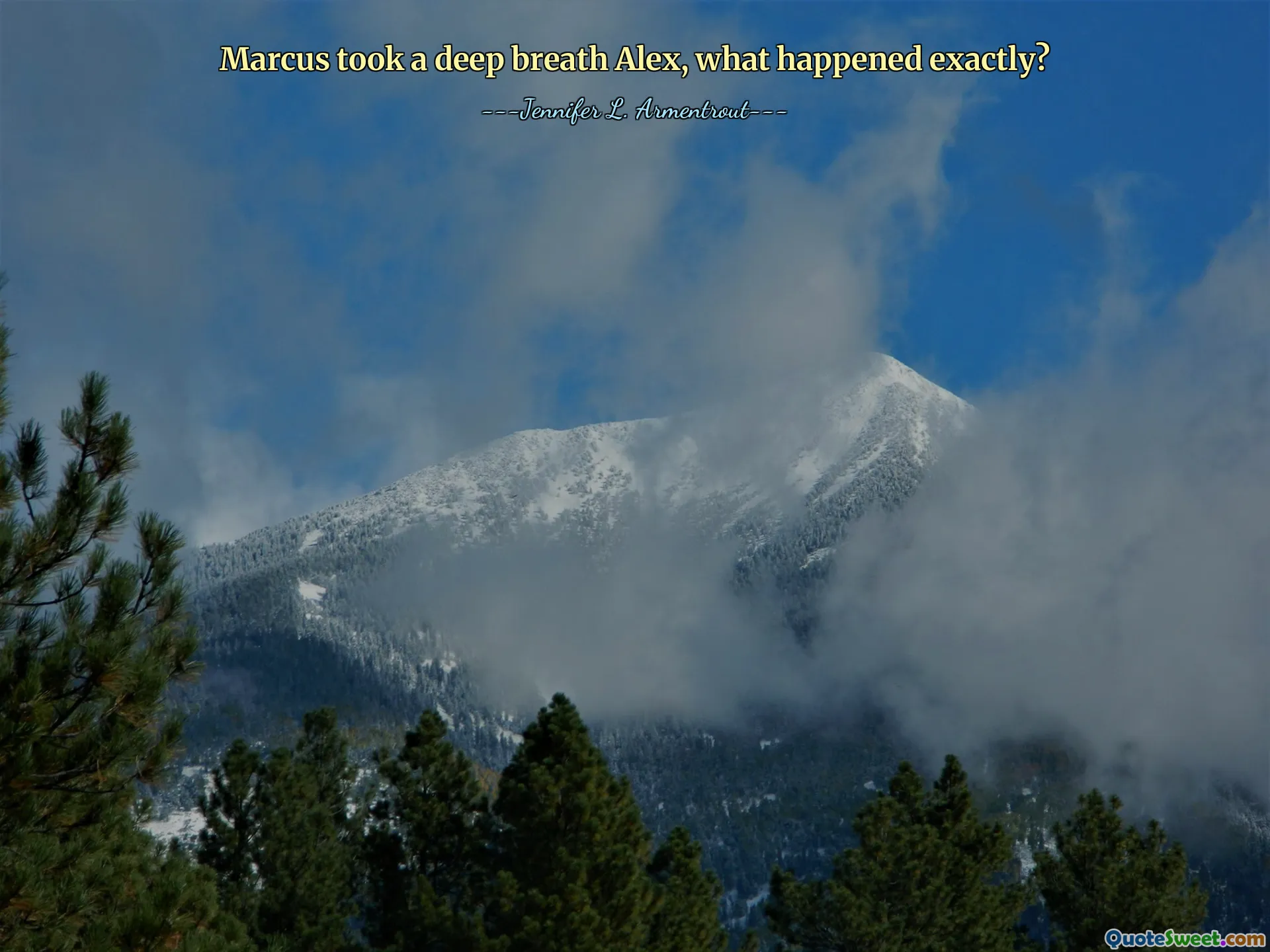 Marcus took a deep breath Alex, what happened exactly?