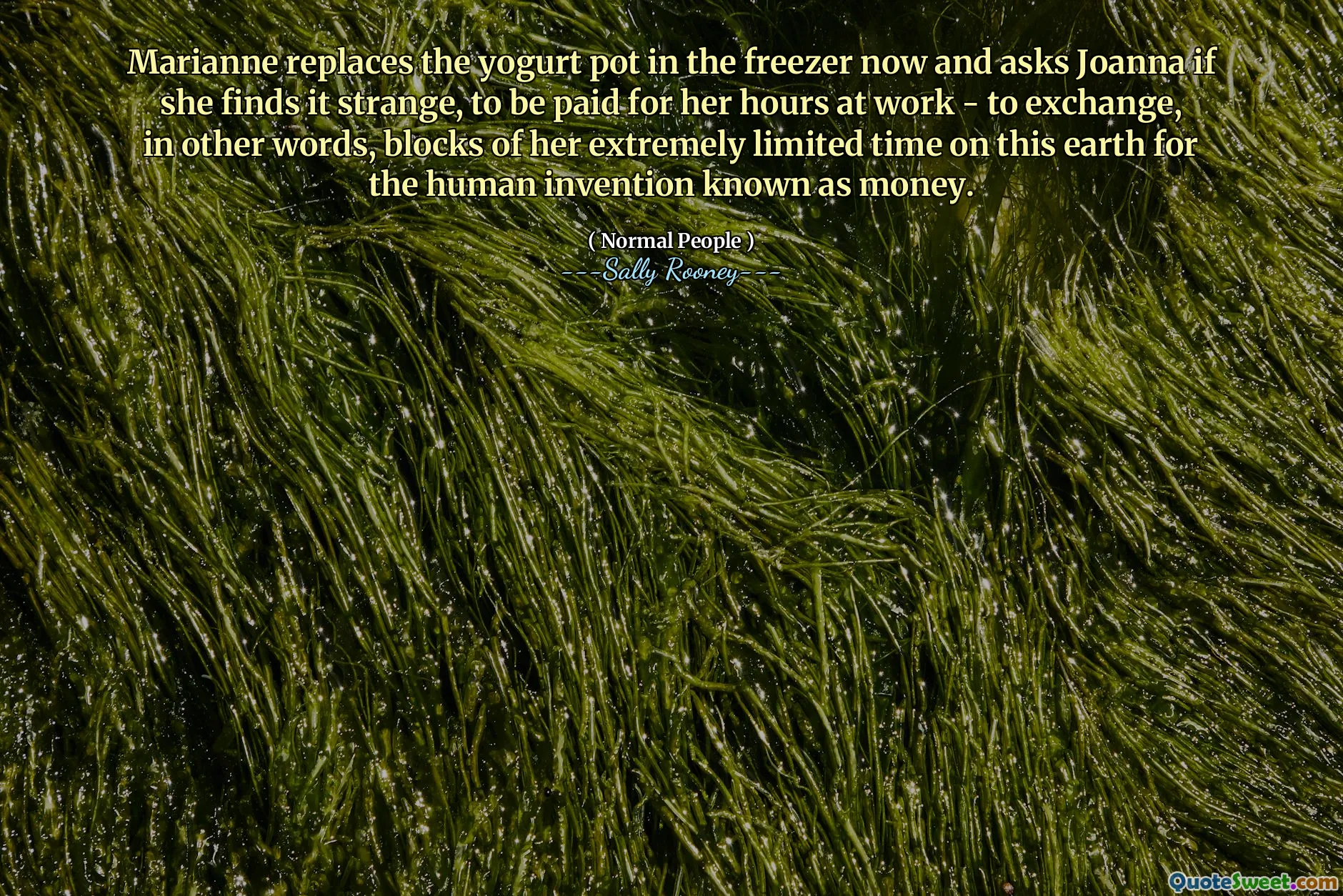 Marianne replaces the yogurt pot in the freezer now and asks Joanna if she finds it strange, to be paid for her hours at work - to exchange, in other words, blocks of her extremely limited time on this earth for the human invention known as money.