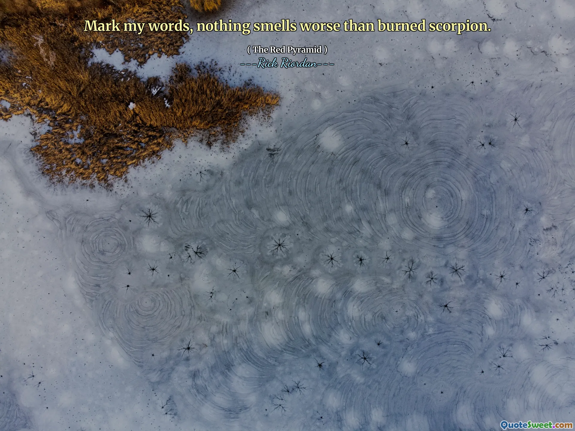 Mark my words, nothing smells worse than burned scorpion.