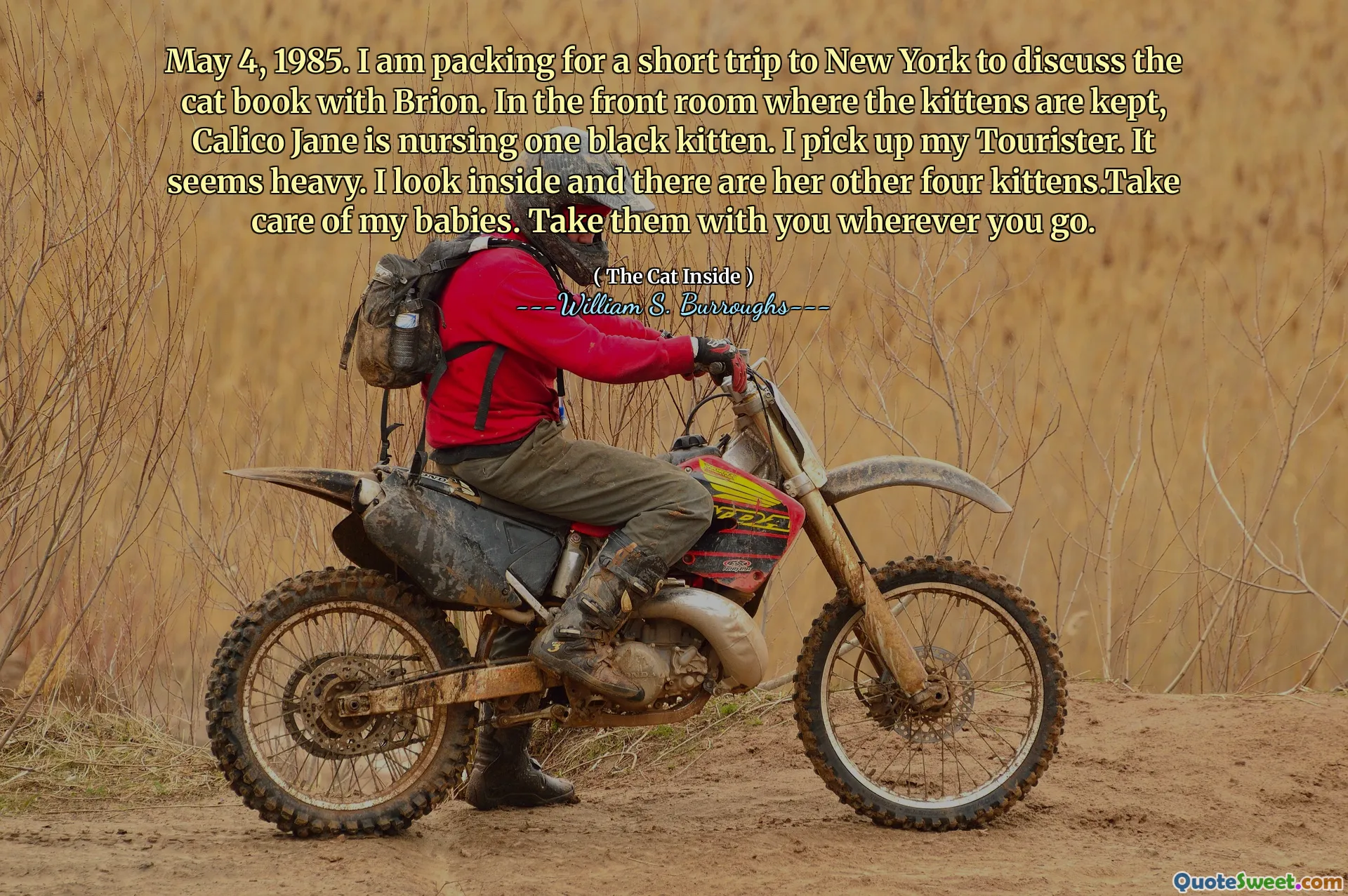 4 de mayo de 1985. Estoy empacando para un breve viaje a Nueva York para discutir el libro de gatos con Brion. En la habitación delantera donde se guardan los gatitos, Calico Jane está amamantando a un gatito negro. Recojo a mi turista. Parece pesado. Miro adentro y están sus otros cuatro gatitos. Tome el cuidado de mis bebés. Llévalos contigo donde quiera que vayas.