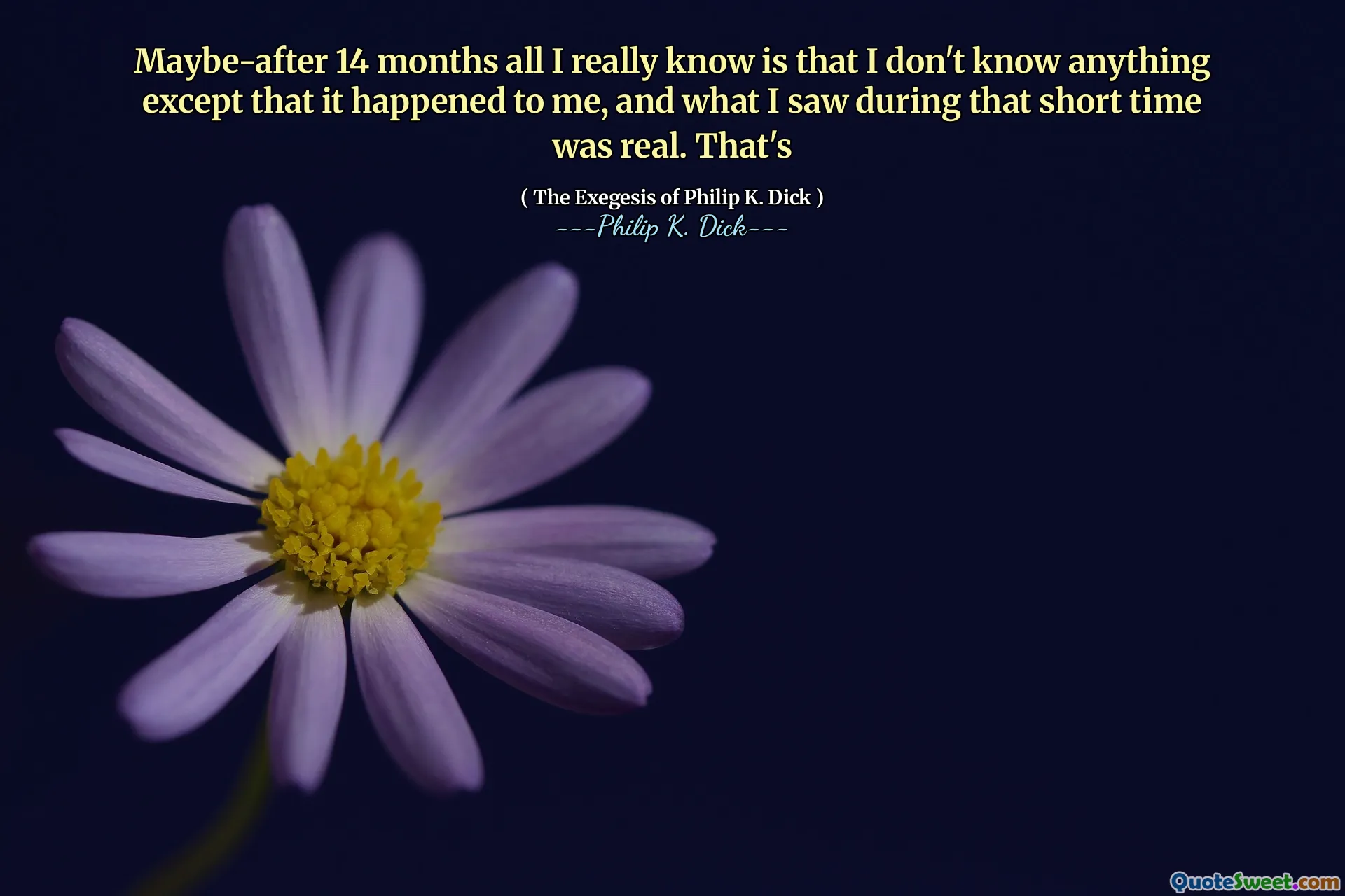 Kanske efter 14 månader allt jag verkligen vet är att jag inte vet någonting förutom att det hände mig, och det jag såg under den korta tiden var verkligt. Som är