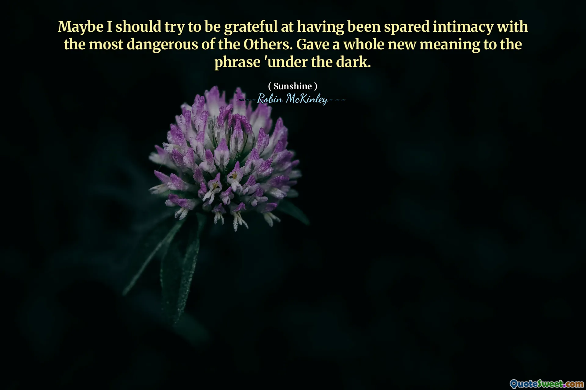 Maybe I should try to be grateful at having been spared intimacy with the most dangerous of the Others. Gave a whole new meaning to the phrase 'under the dark.