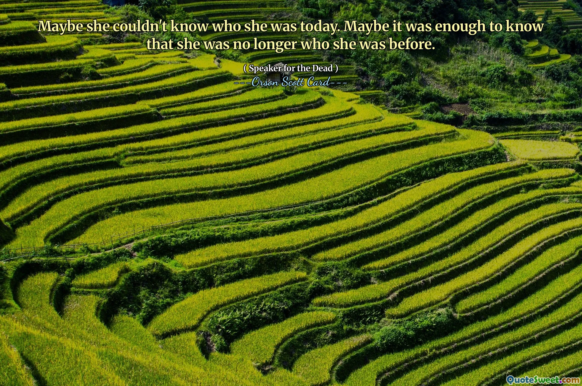 아마도 그녀는 오늘 자신이 누구인지 알지 못했을 것입니다. 어쩌면 그녀가 더 이상 예전의 그녀가 아니라는 것을 아는 것만으로도 충분했을 것입니다.