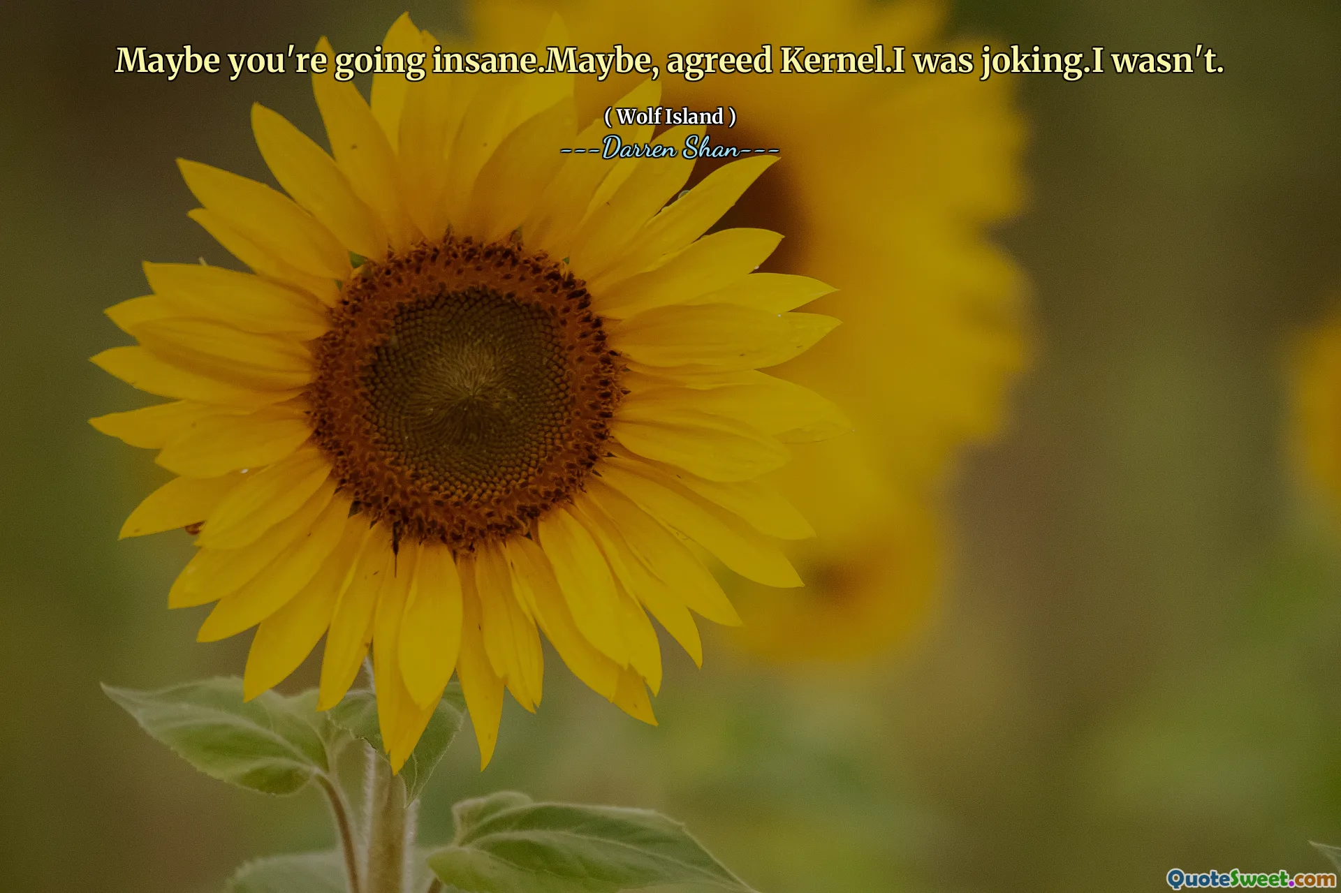 Maybe you're going insane.Maybe, agreed Kernel.I was joking.I wasn't.