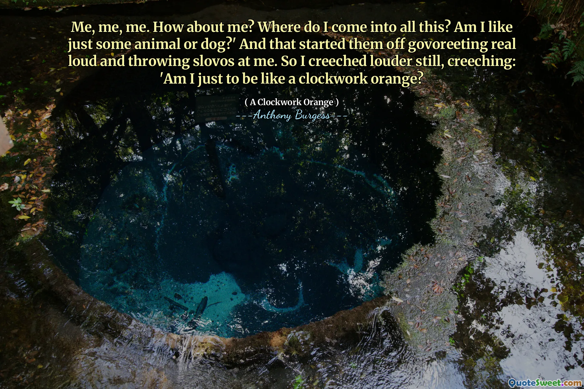 Me, me, me. How about me? Where do I come into all this? Am I like just some animal or dog?' And that started them off govoreeting real loud and throwing slovos at me. So I creeched louder still, creeching: 'Am I just to be like a clockwork orange?