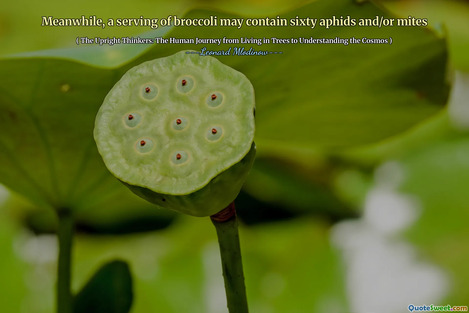 Meanwhile, a serving of broccoli may contain sixty aphids and/or mites