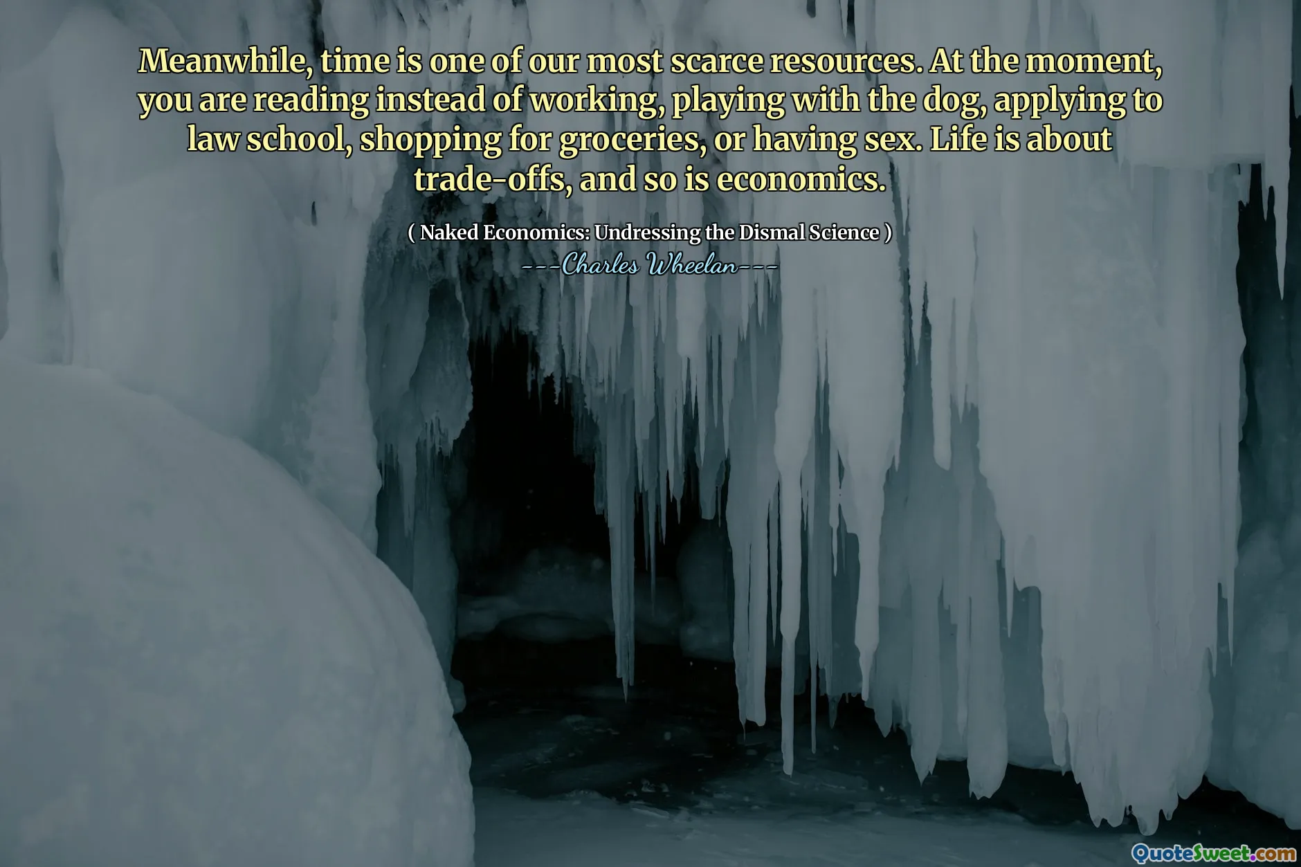 Meanwhile, time is one of our most scarce resources. At the moment, you are reading instead of working, playing with the dog, applying to law school, shopping for groceries, or having sex. Life is about trade-offs, and so is economics.