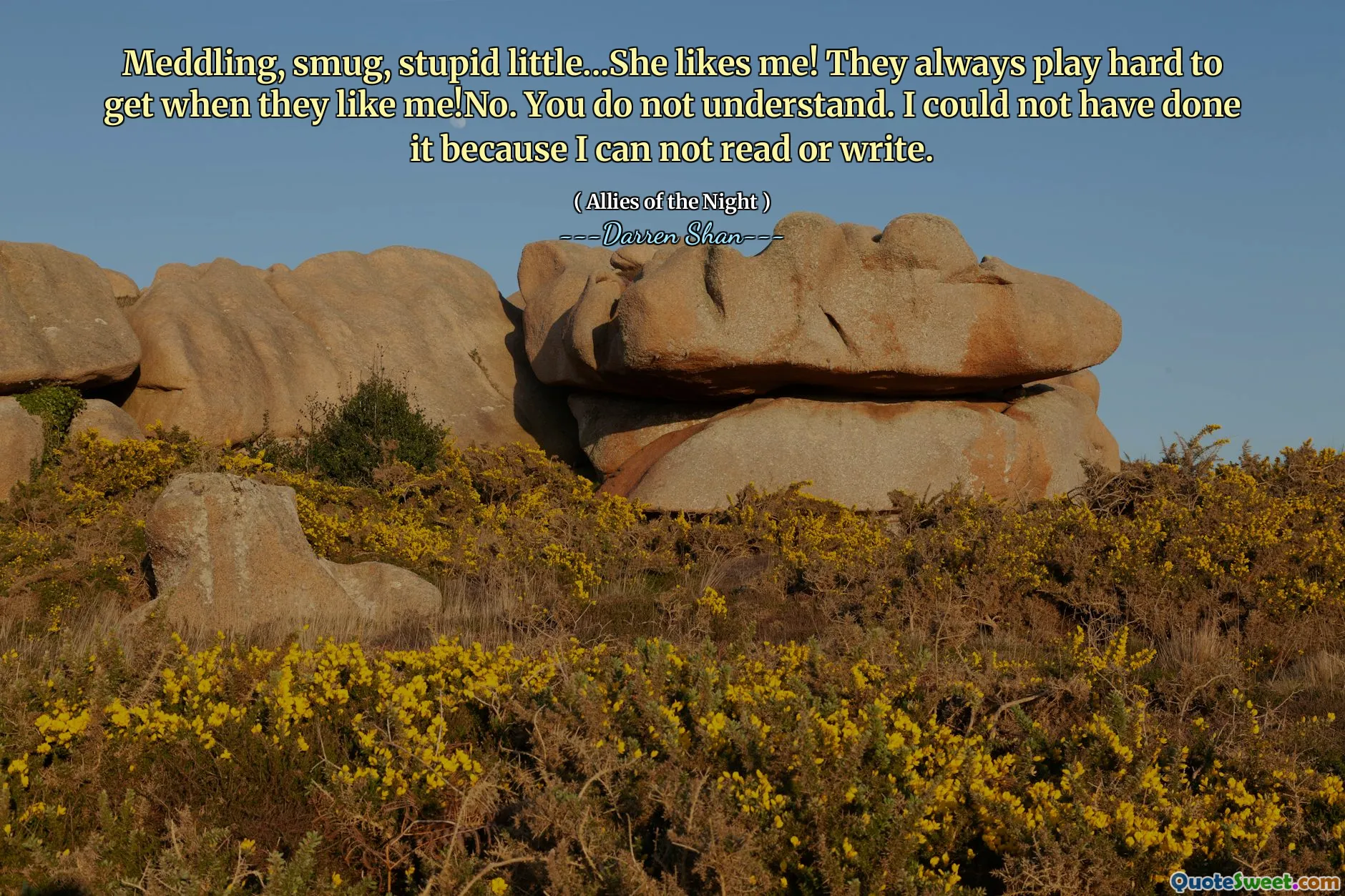 Meddling, smug, stupid little...She likes me! They always play hard to get when they like me!No. You do not understand. I could not have done it because I can not read or write.