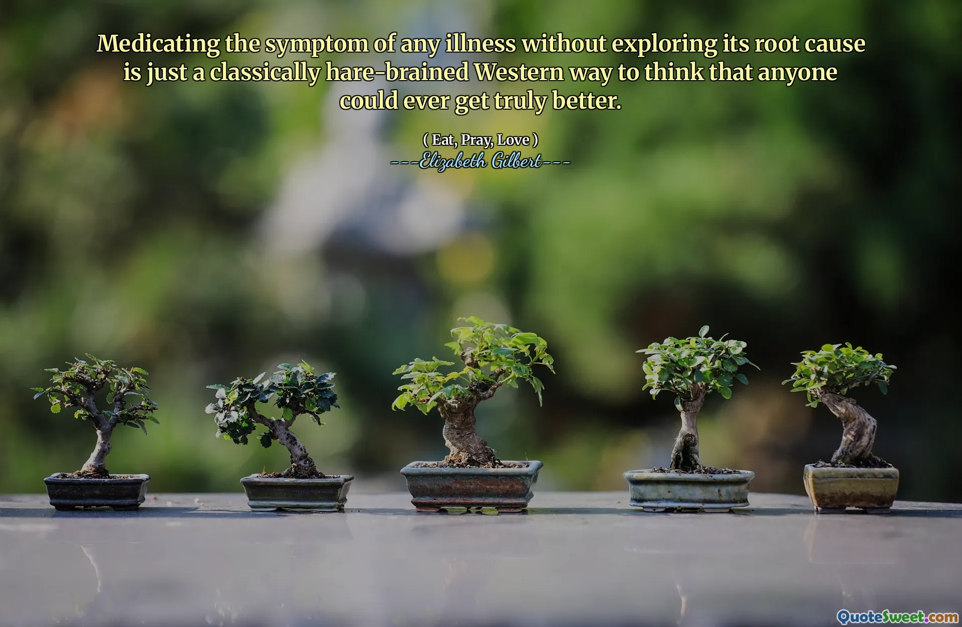 Medicating the symptom of any illness without exploring its root cause is just a classically hare-brained Western way to think that anyone could ever get truly better.