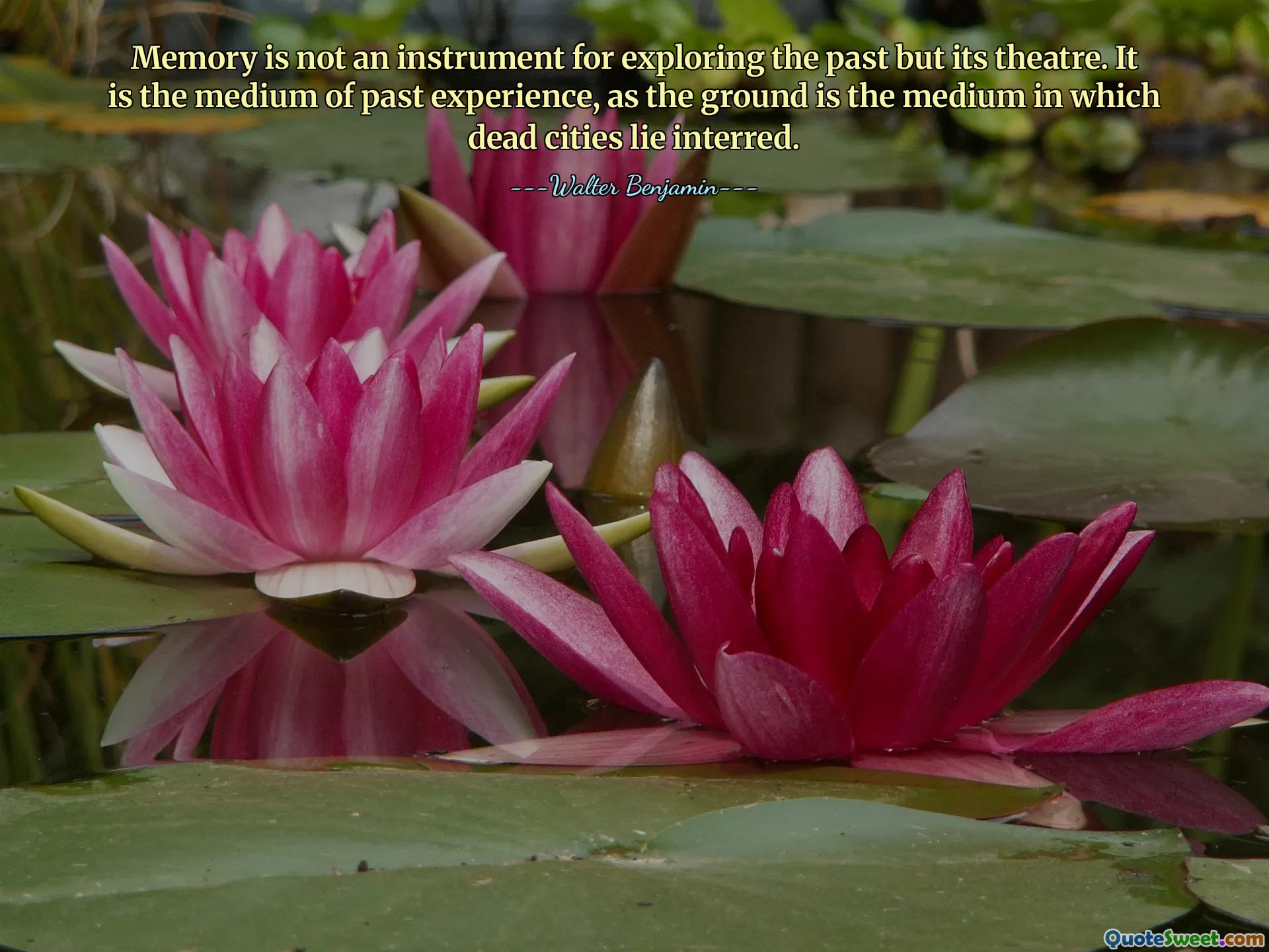 Memory is not an instrument for exploring the past but its theatre. It is the medium of past experience, as the ground is the medium in which dead cities lie interred.