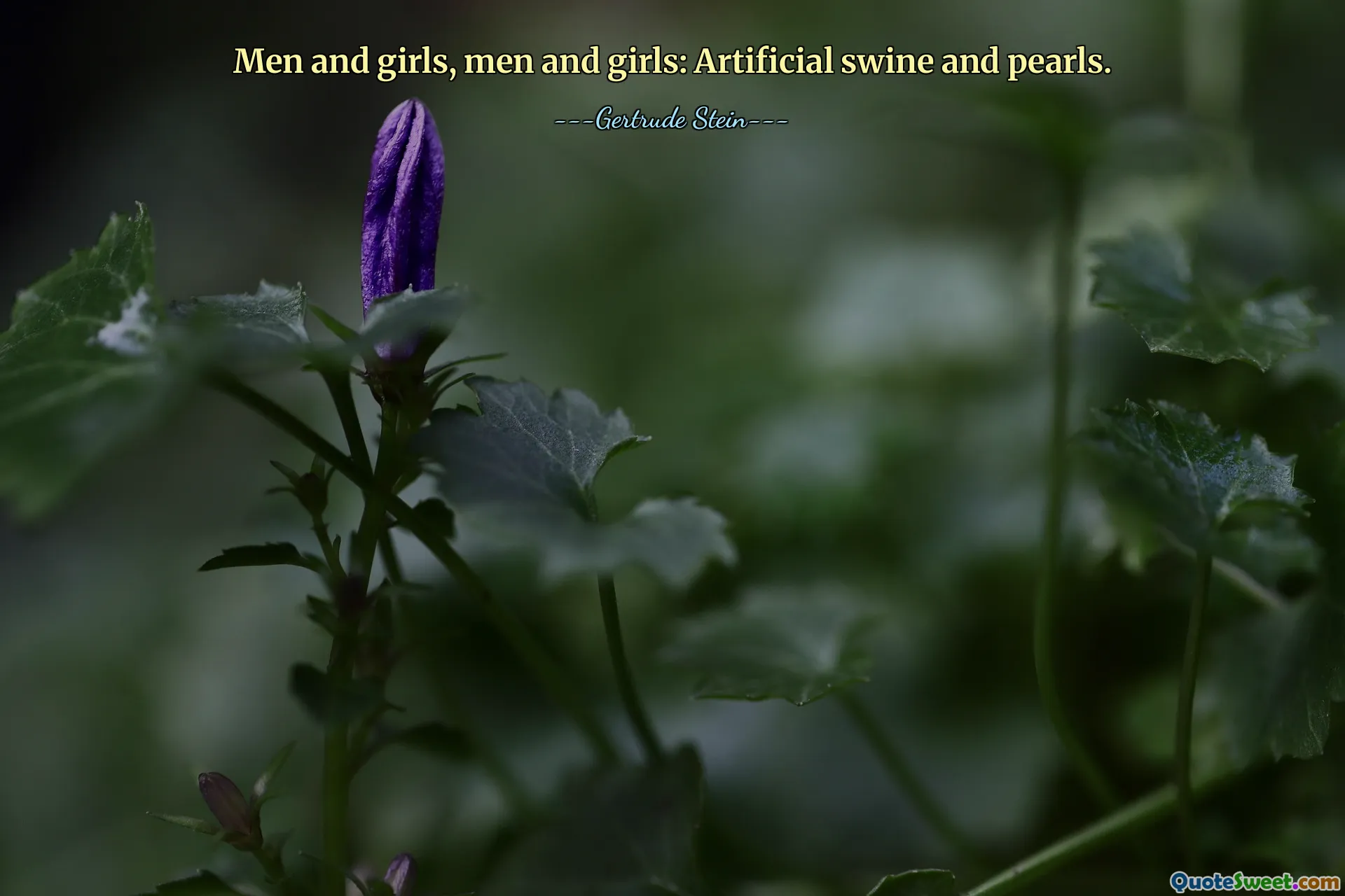 Men and girls, men and girls: Artificial swine and pearls.