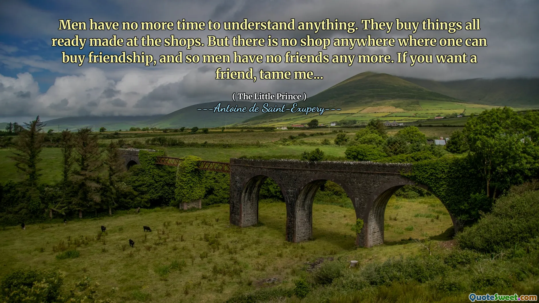 Men have no more time to understand anything. They buy things all ready made at the shops. But there is no shop anywhere where one can buy friendship, and so men have no friends any more. If you want a friend, tame me...