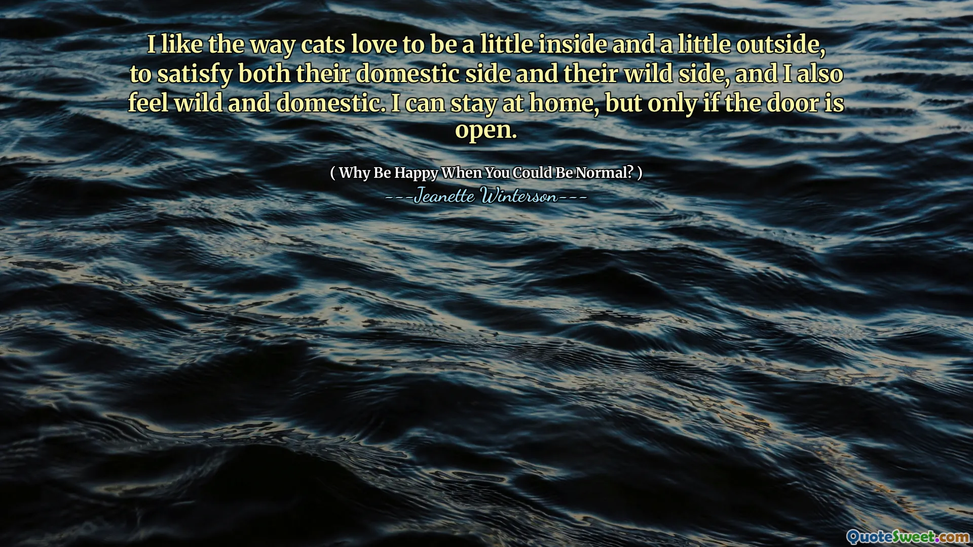 I like the way cats love to be a little inside and a little outside, to satisfy both their domestic side and their wild side, and I also feel wild and domestic. I can stay at home, but only if the door is open.