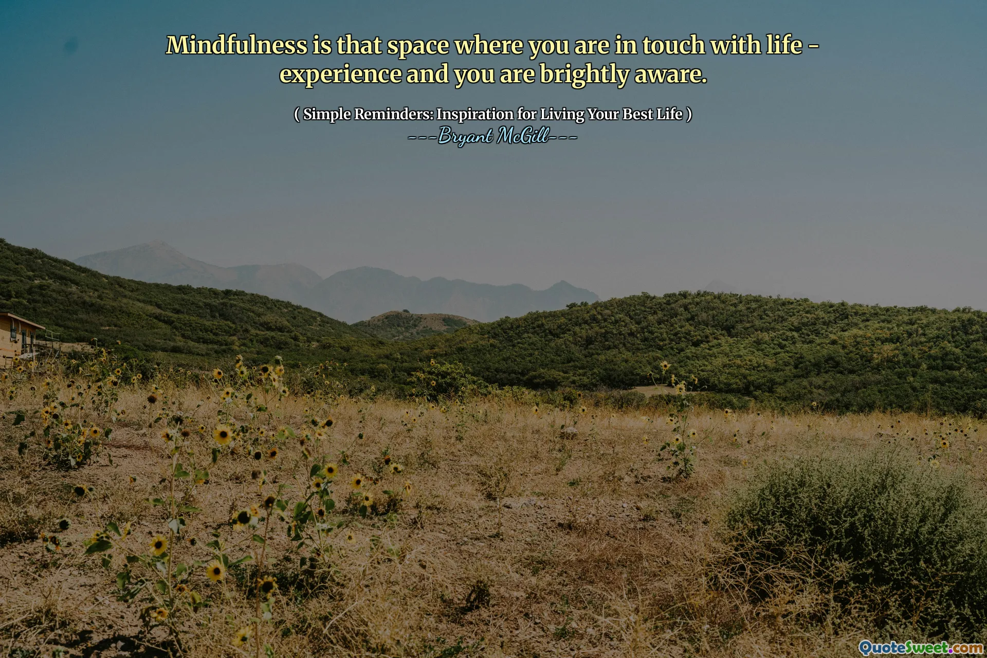 Mindfulness is that space where you are in touch with life - experience and you are brightly aware.