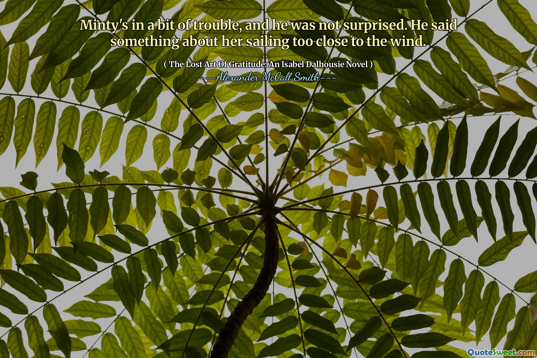 Минти в некоторых неприятностях, и он не был удивлен. Он сказал что -то о ее плавании слишком близко к ветру.