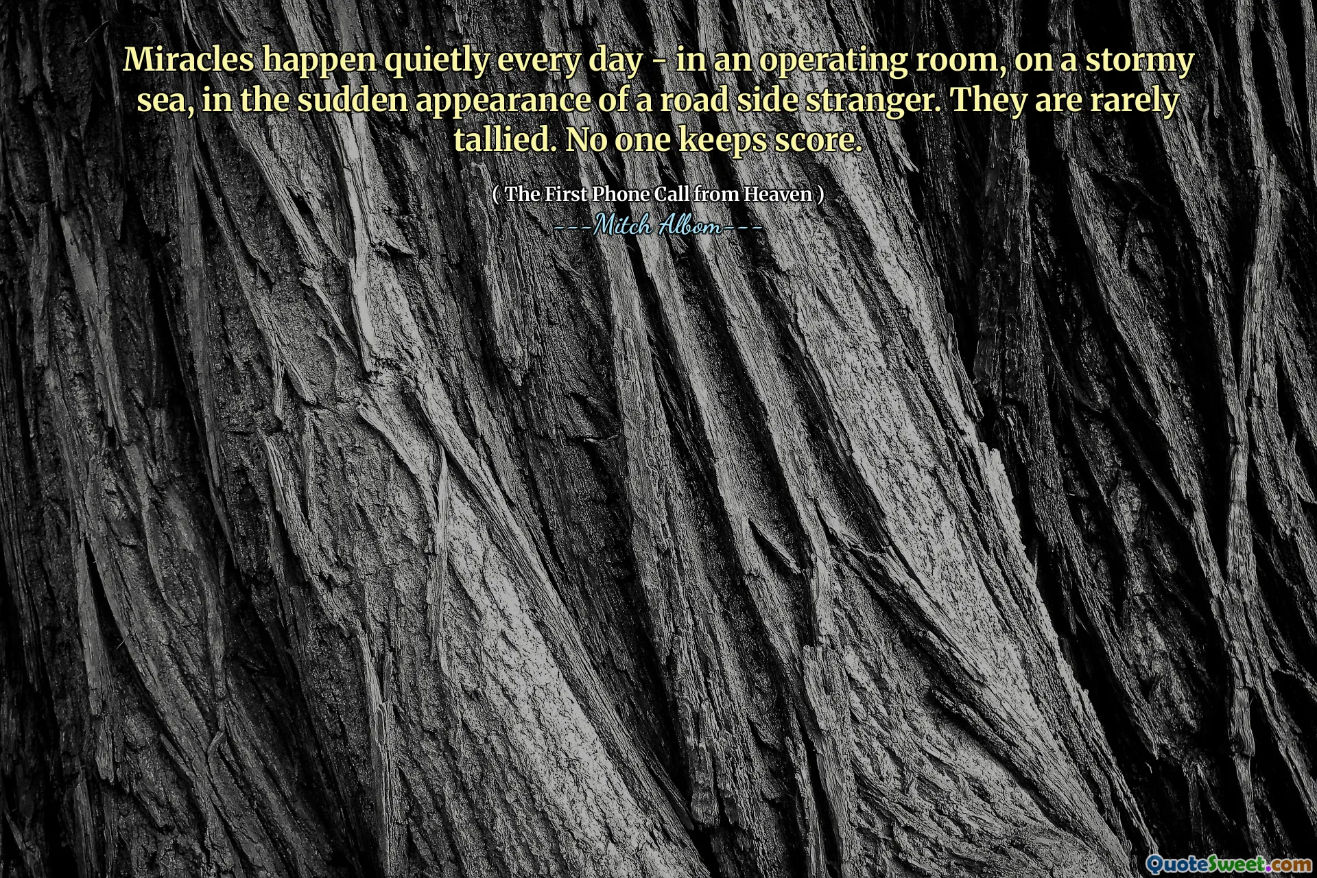 Miracles happen quietly every day - in an operating room, on a stormy sea, in the sudden appearance of a road side stranger. They are rarely tallied. No one keeps score.