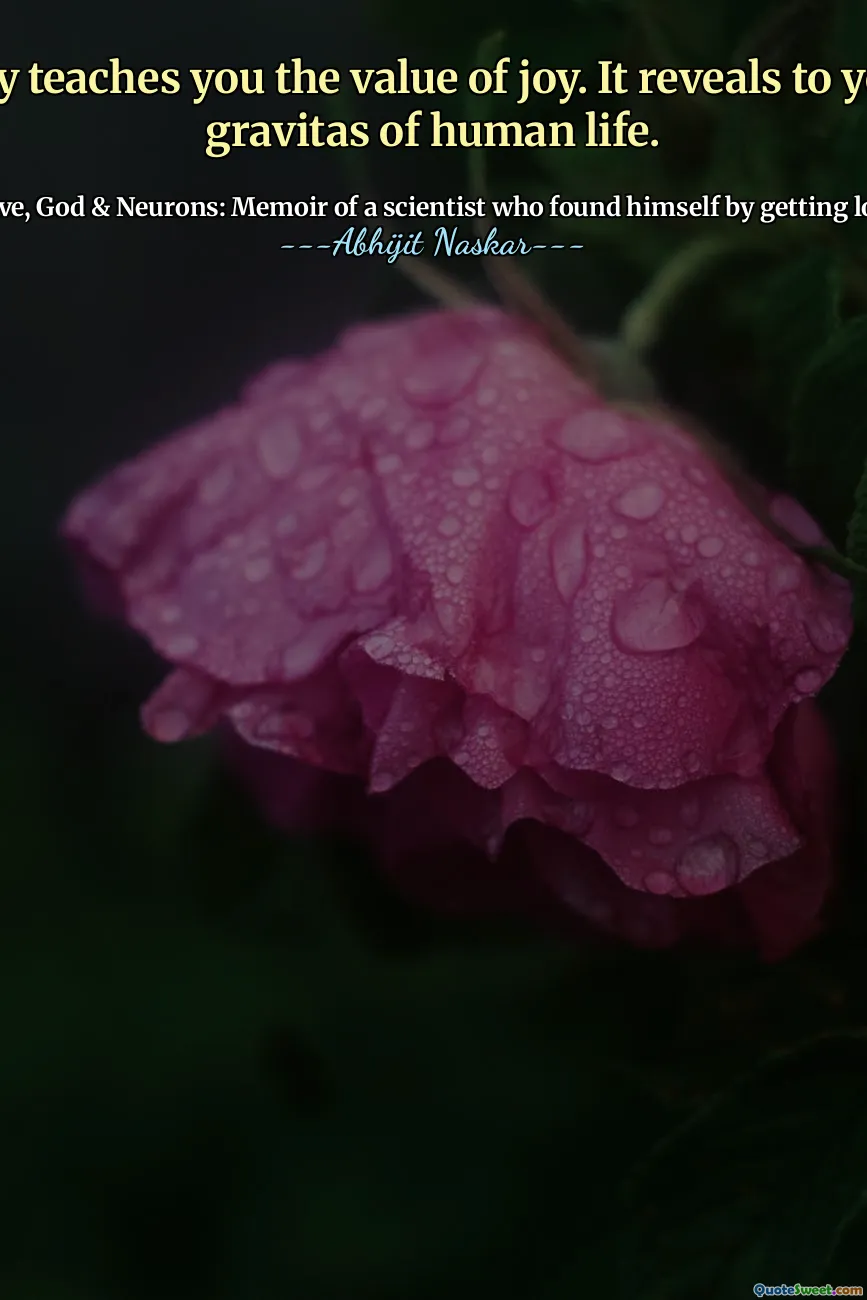 Misery teaches you the value of joy. It reveals to you the gravitas of human life.