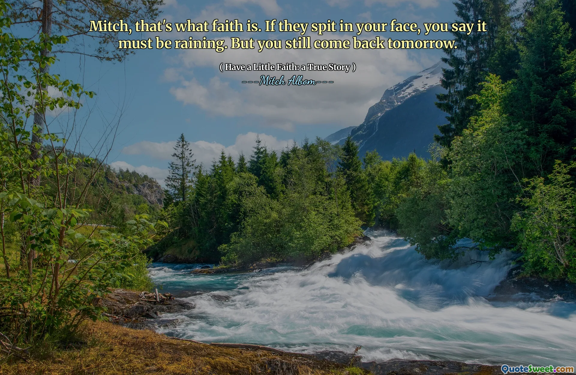 ミッチ、それが信仰です。彼らがあなたの顔に唾を吐くなら、あなたはそれが雨が降っているに違いないと言います。しかし、あなたはまだ明日戻ってきます。