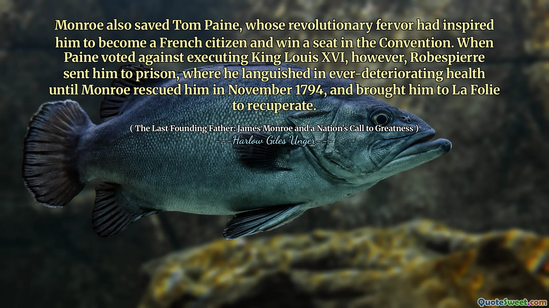 Monroe räddade också Tom Paine, vars revolutionära glädje hade inspirerat honom att bli fransk medborgare och vinna en plats i konventionen. När Paine röstade mot att avrätta King Louis XVI, skickade Robespierre honom dock till fängelse, där han försvann i ständigt utformad hälsa tills Monroe räddade honom i november 1794 och förde honom till La Folie för att återhämta sig.