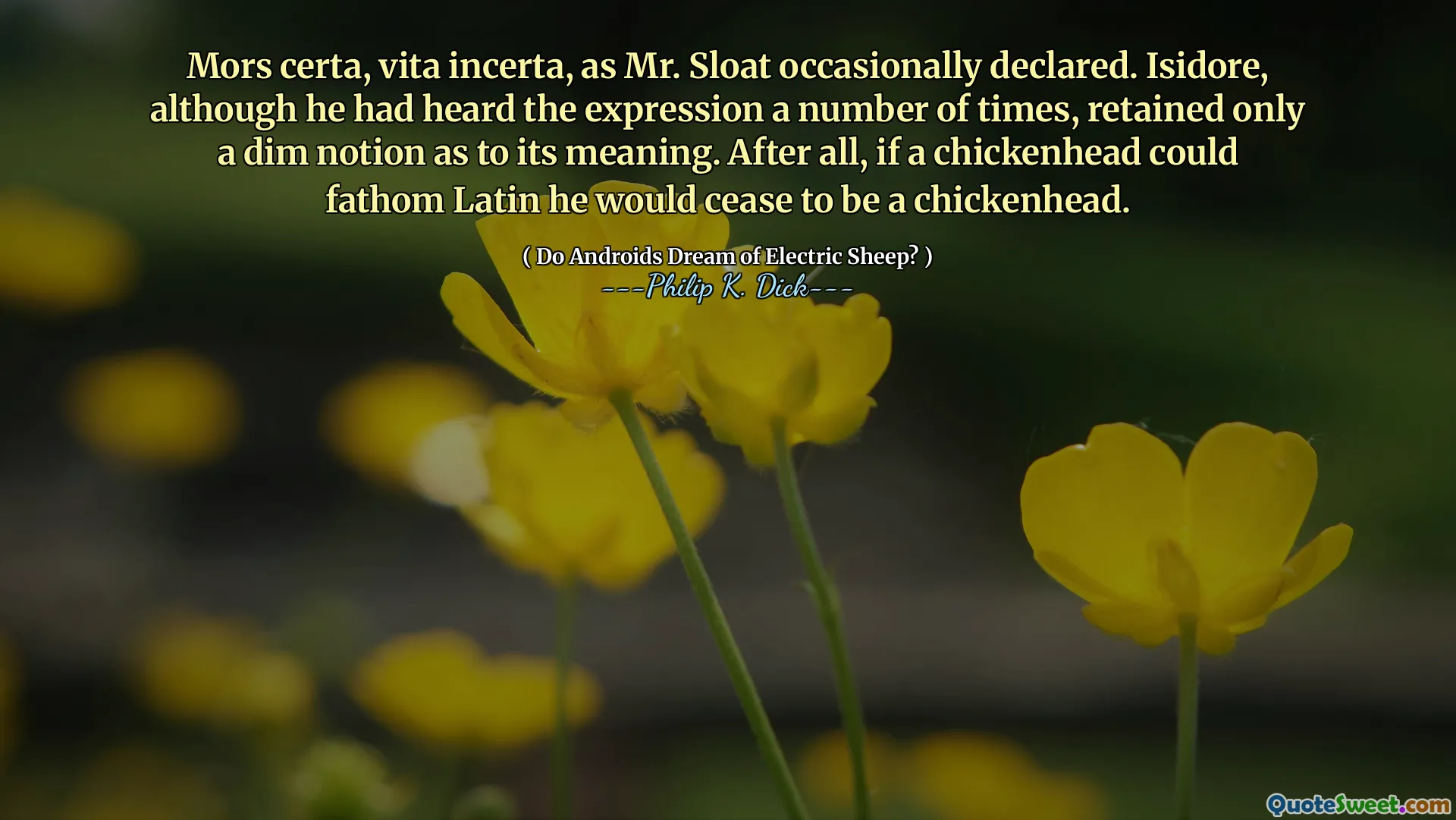 Mors certa, vita incerta, as Mr. Sloat occasionally declared. Isidore, although he had heard the expression a number of times, retained only a dim notion as to its meaning. After all, if a chickenhead could fathom Latin he would cease to be a chickenhead.