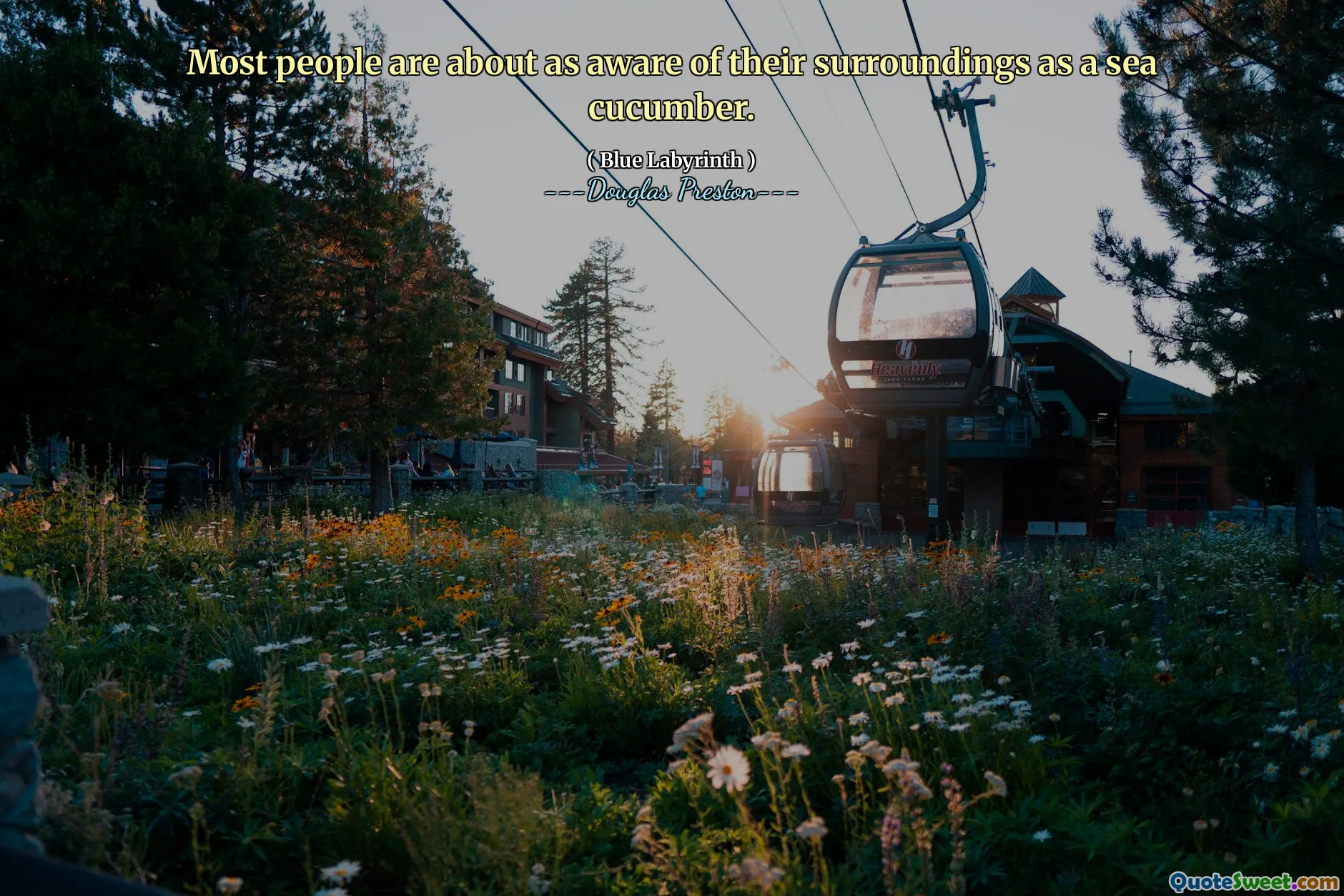 A maioria das pessoas está tão ciente de seus arredores quanto um pepino do mar.
