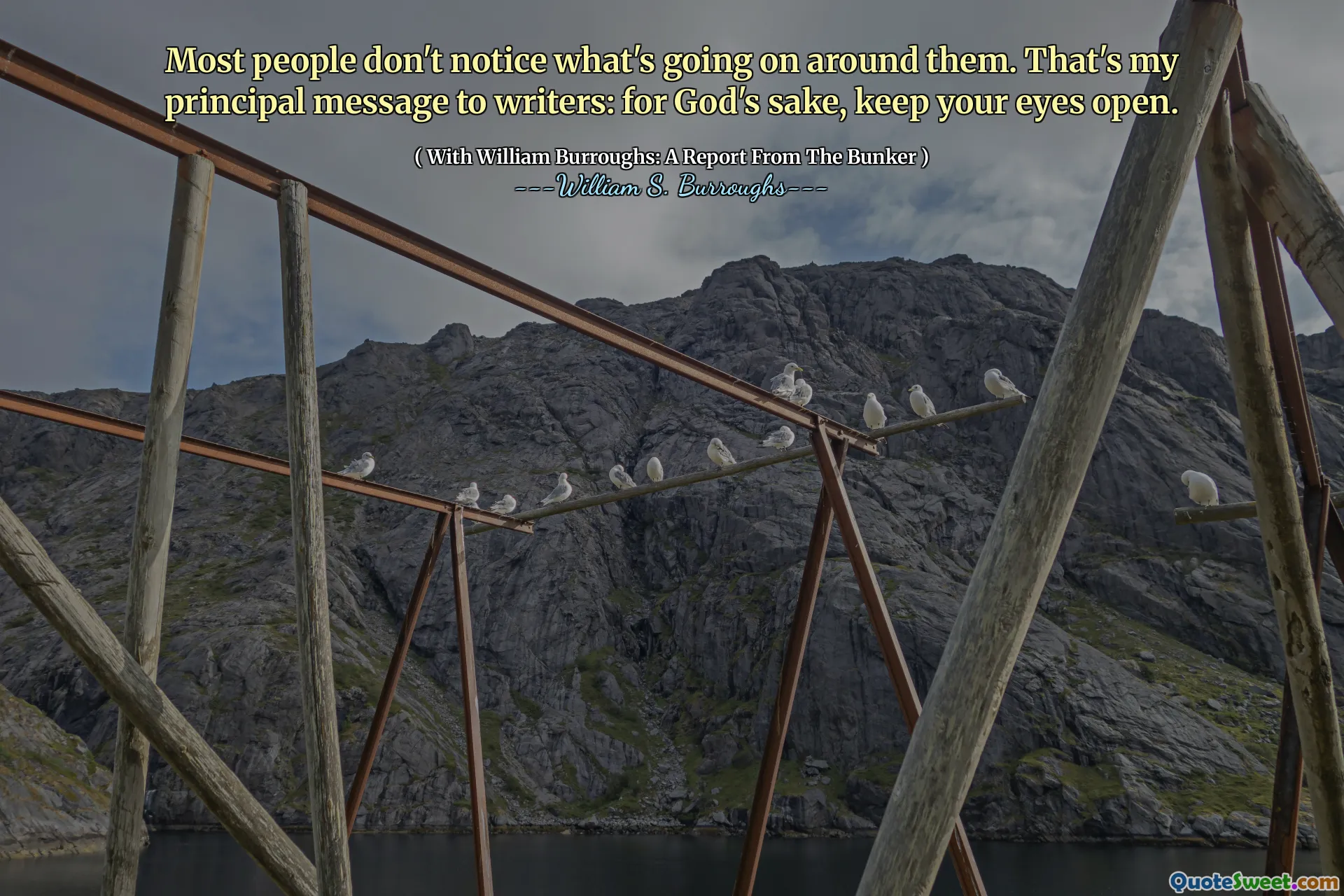 大多数人没有注意到周围发生了什么。那是我给作家的主要信息：为了上帝的缘故，请保持眼睛睁开。