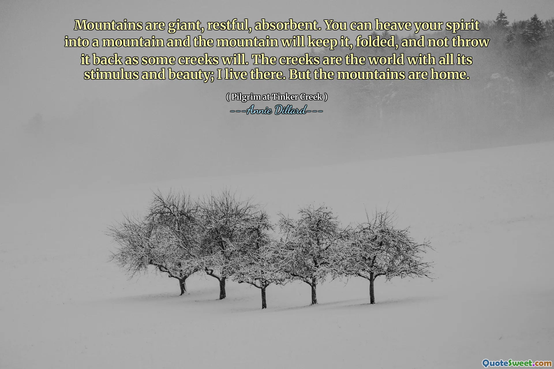 Mountains are giant, restful, absorbent. You can heave your spirit into a mountain and the mountain will keep it, folded, and not throw it back as some creeks will. The creeks are the world with all its stimulus and beauty; I live there. But the mountains are home.