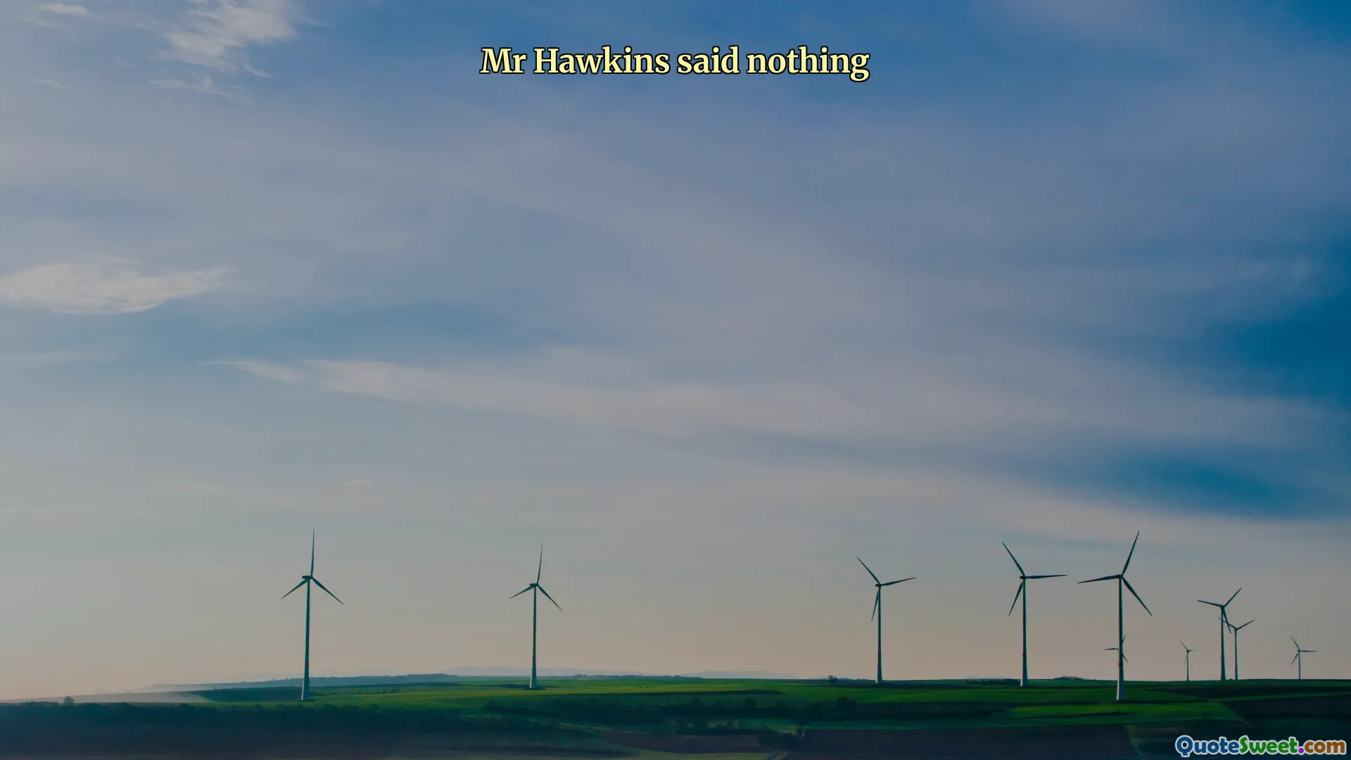 Mr Hawkins said nothing