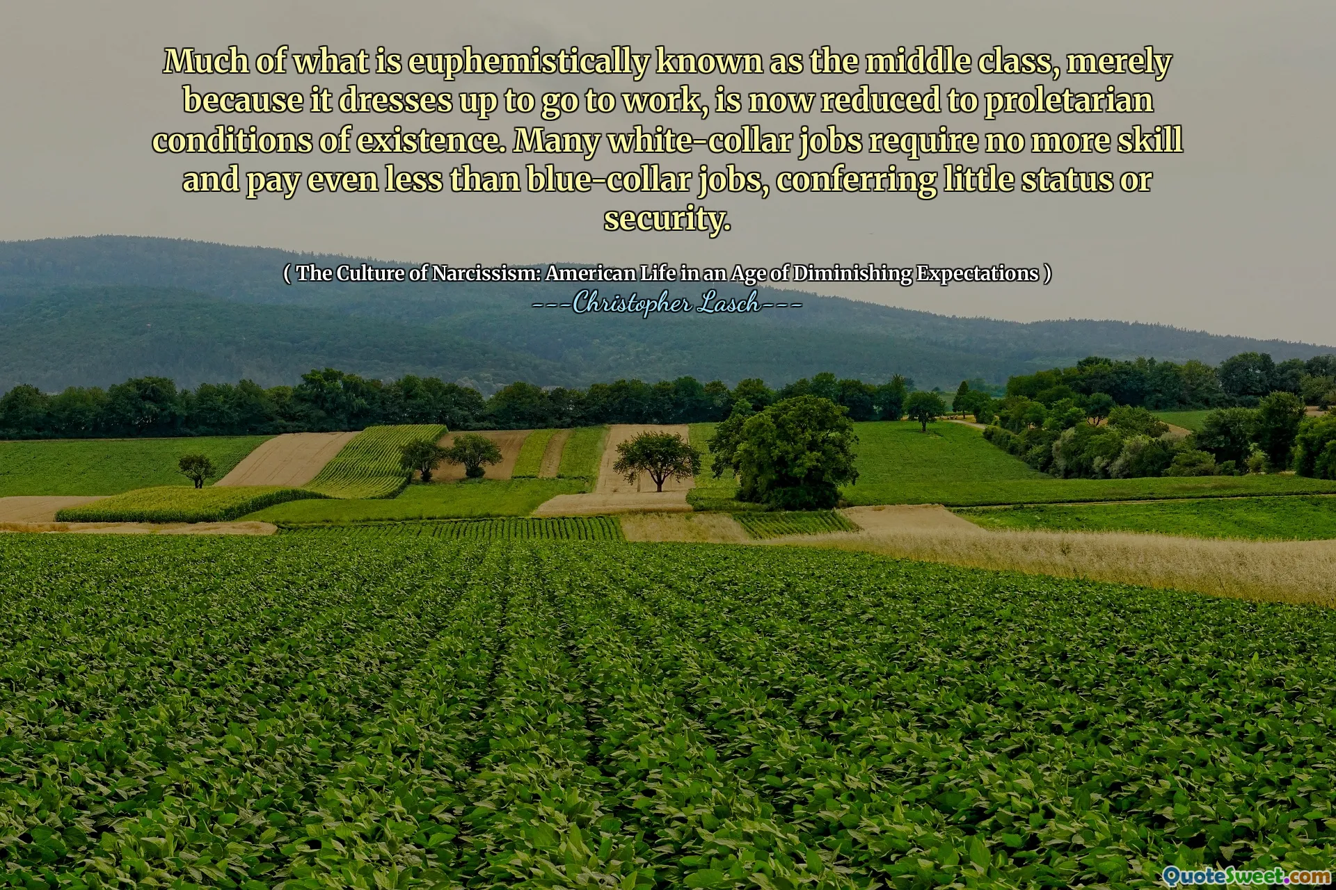 Much of what is euphemistically known as the middle class, merely because it dresses up to go to work, is now reduced to proletarian conditions of existence. Many white-collar jobs require no more skill and pay even less than blue-collar jobs, conferring little status or security.