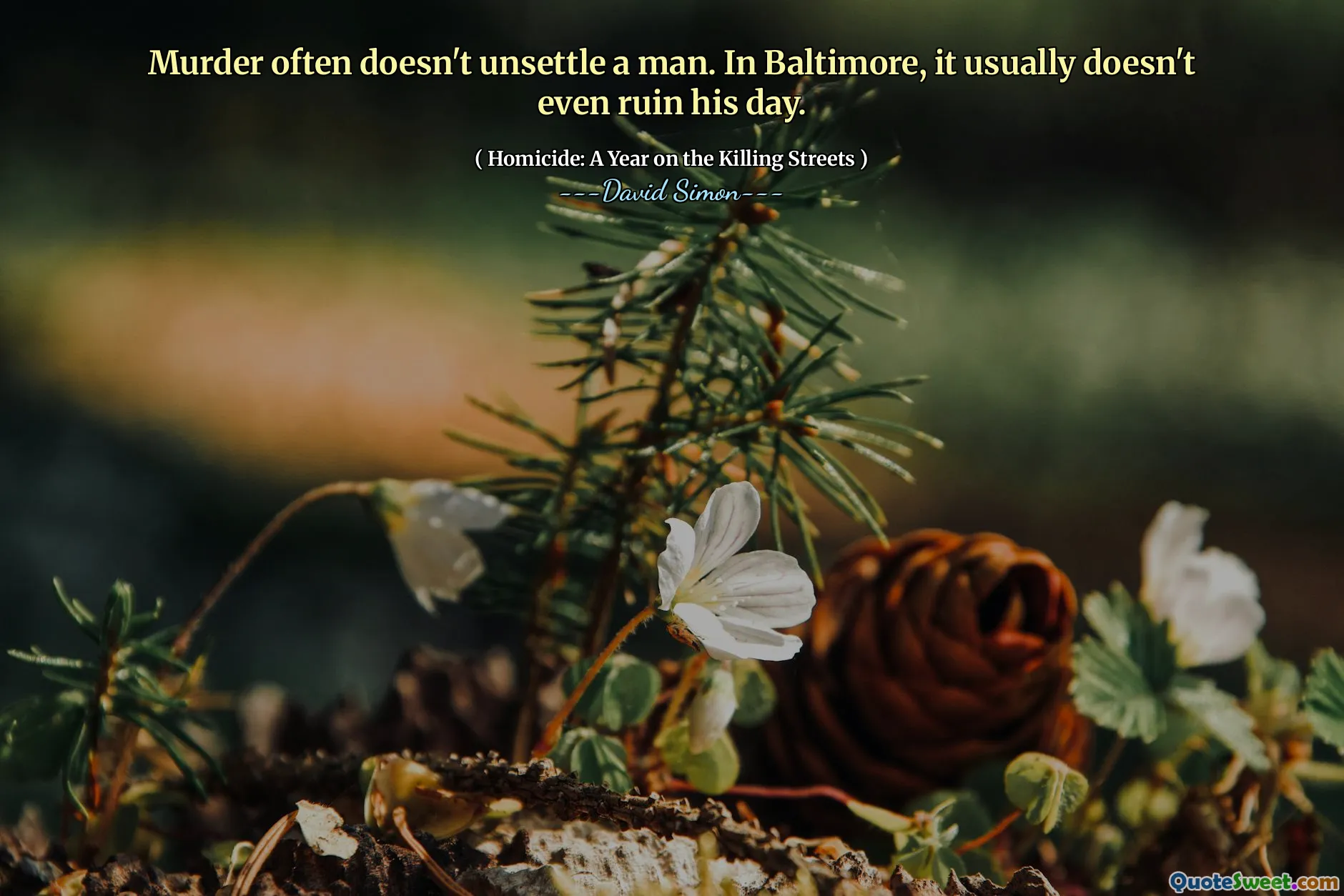 Murder often doesn't unsettle a man. In Baltimore, it usually doesn't even ruin his day.