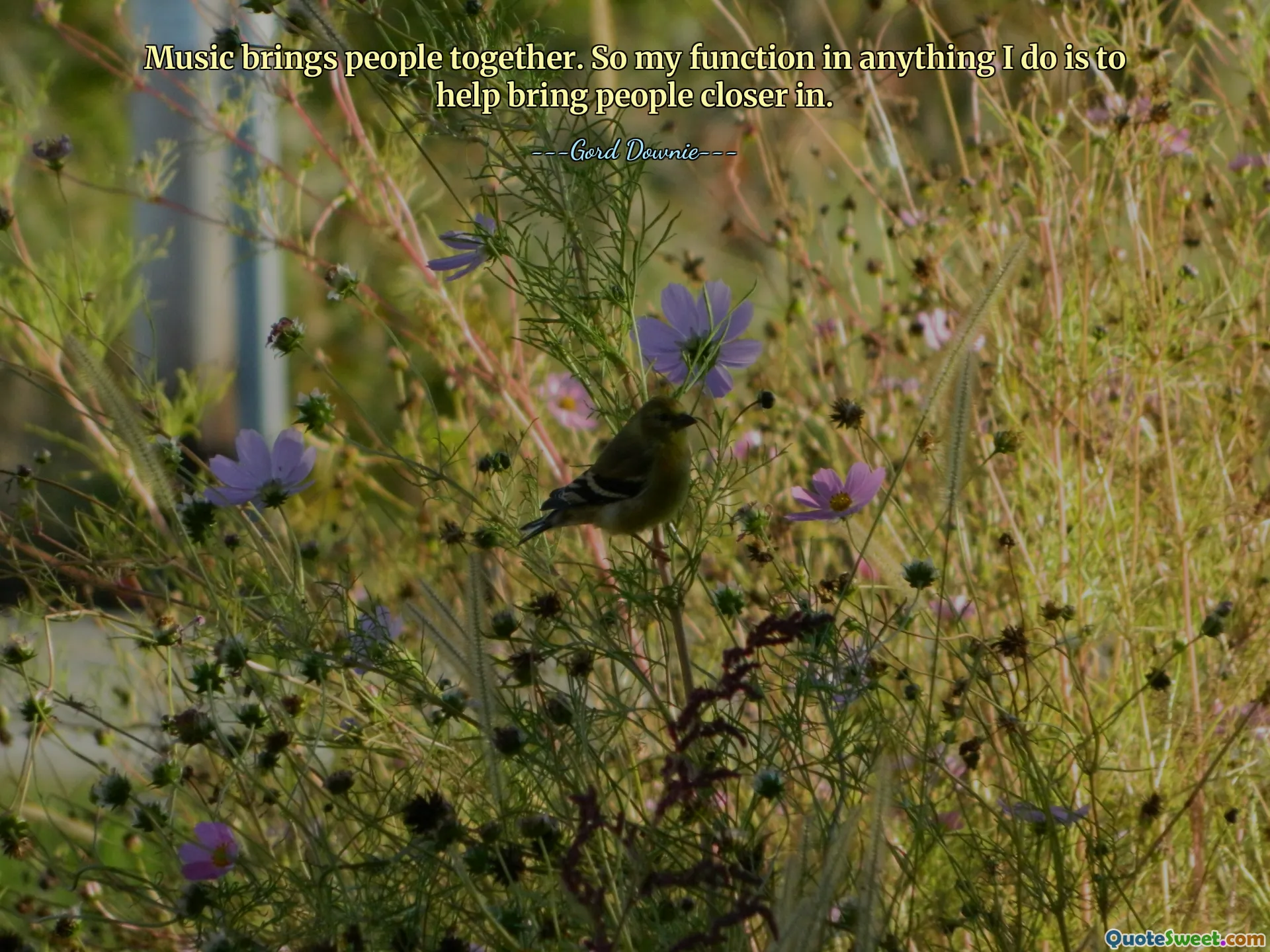 Music brings people together. So my function in anything I do is to help bring people closer in.