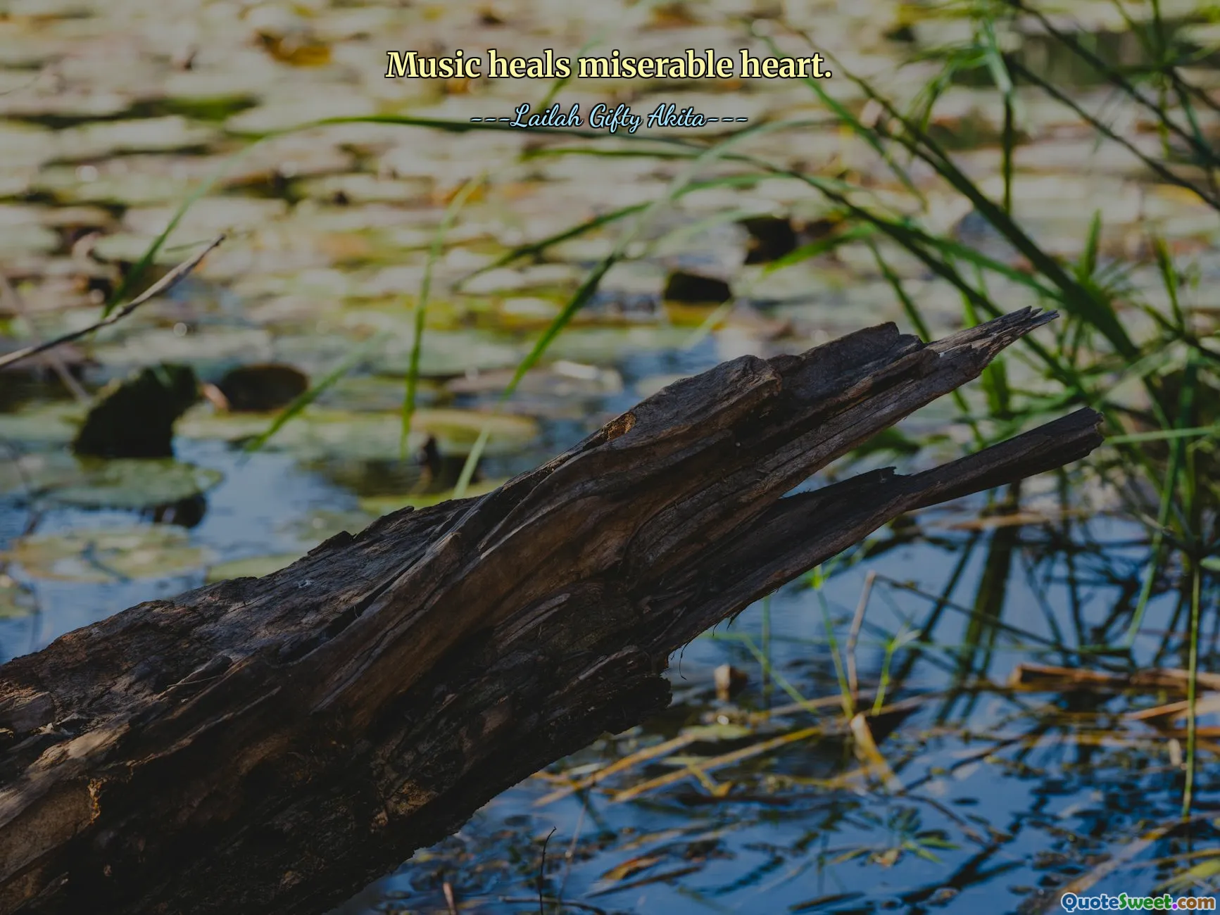 Music heals miserable heart.