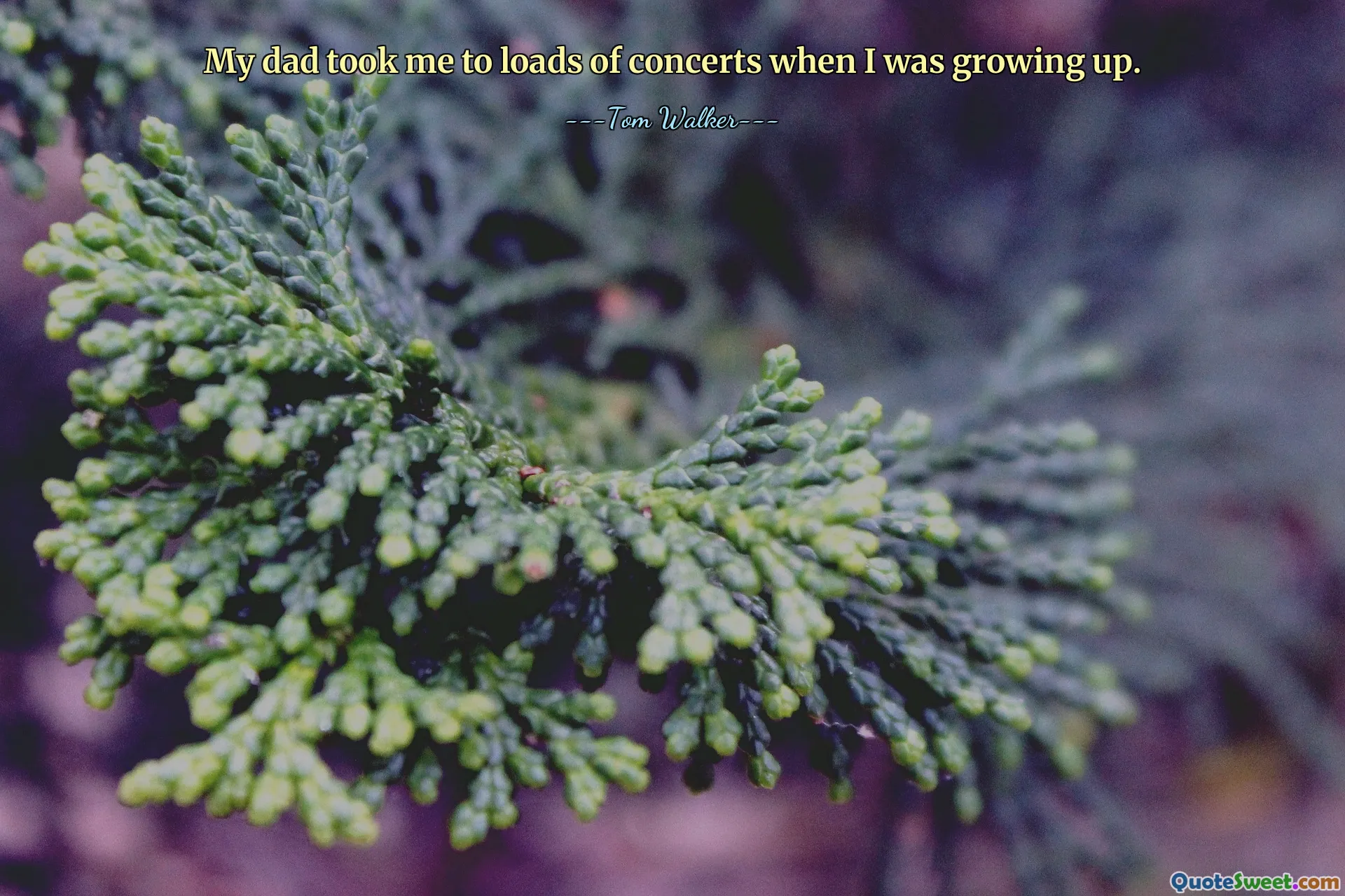 Als ich klein war, nahm mich mein Vater zu vielen Konzerten mit.