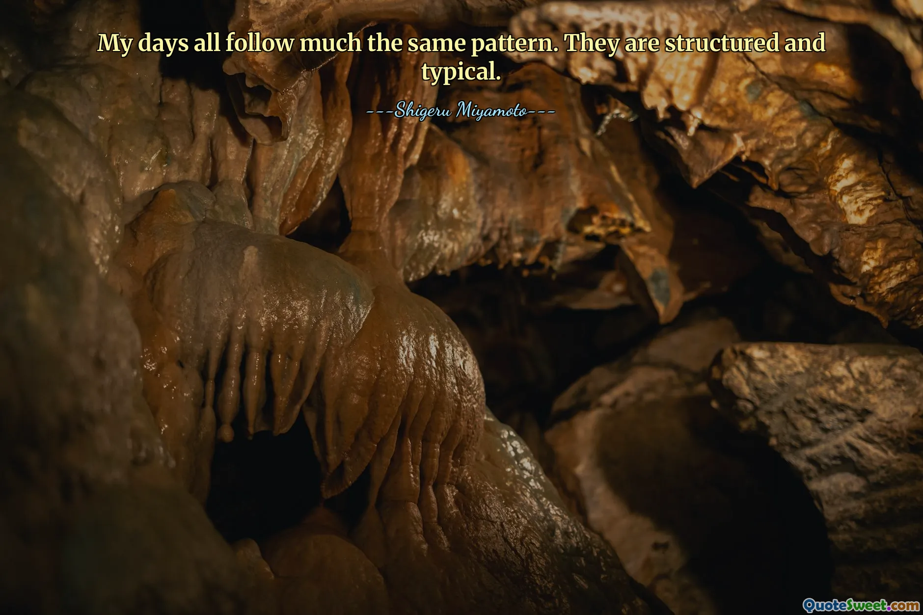 My days all follow much the same pattern. They are structured and typical.