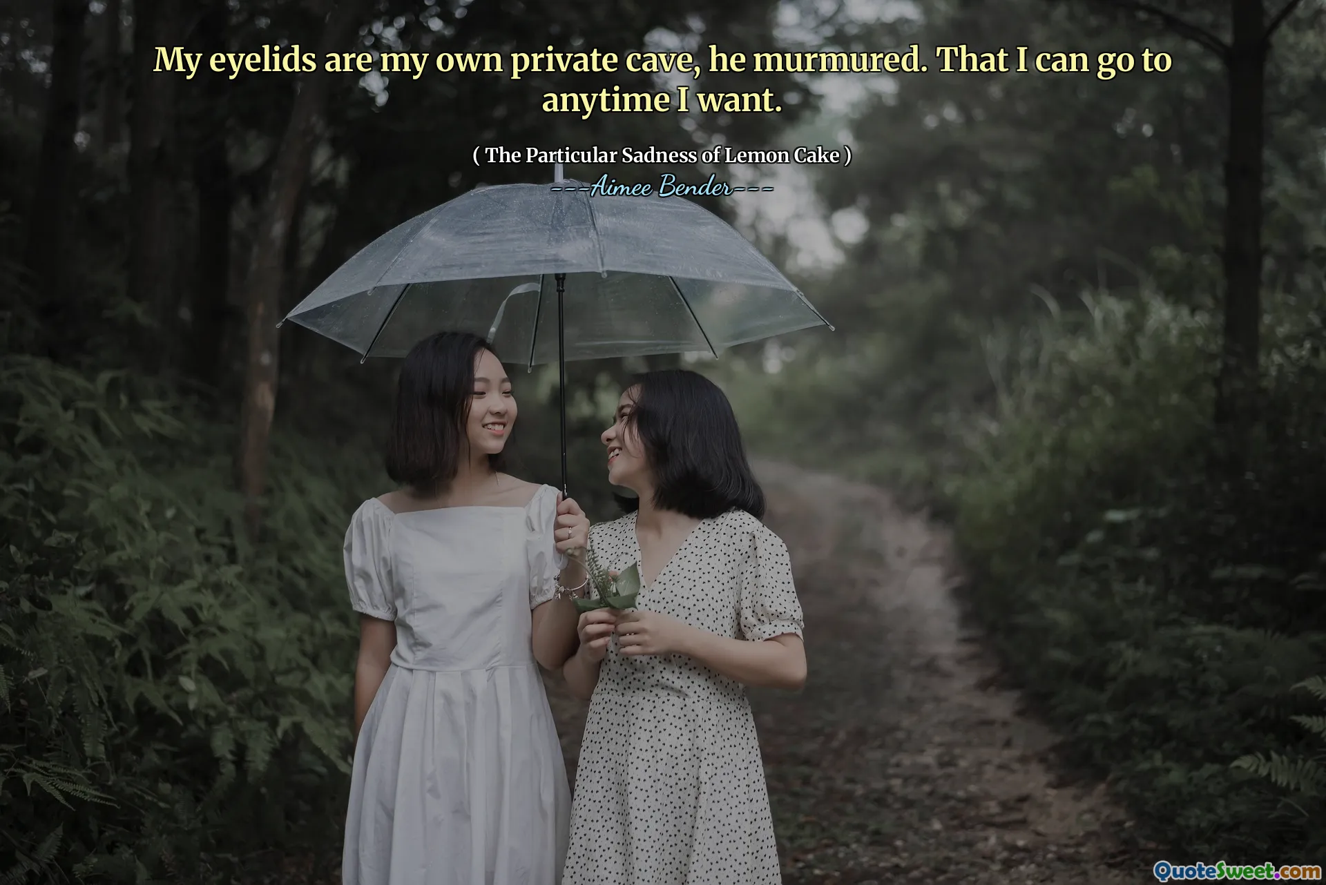 他喃喃地说，我的眼皮是我自己的私人洞穴。我可以随时随地去。