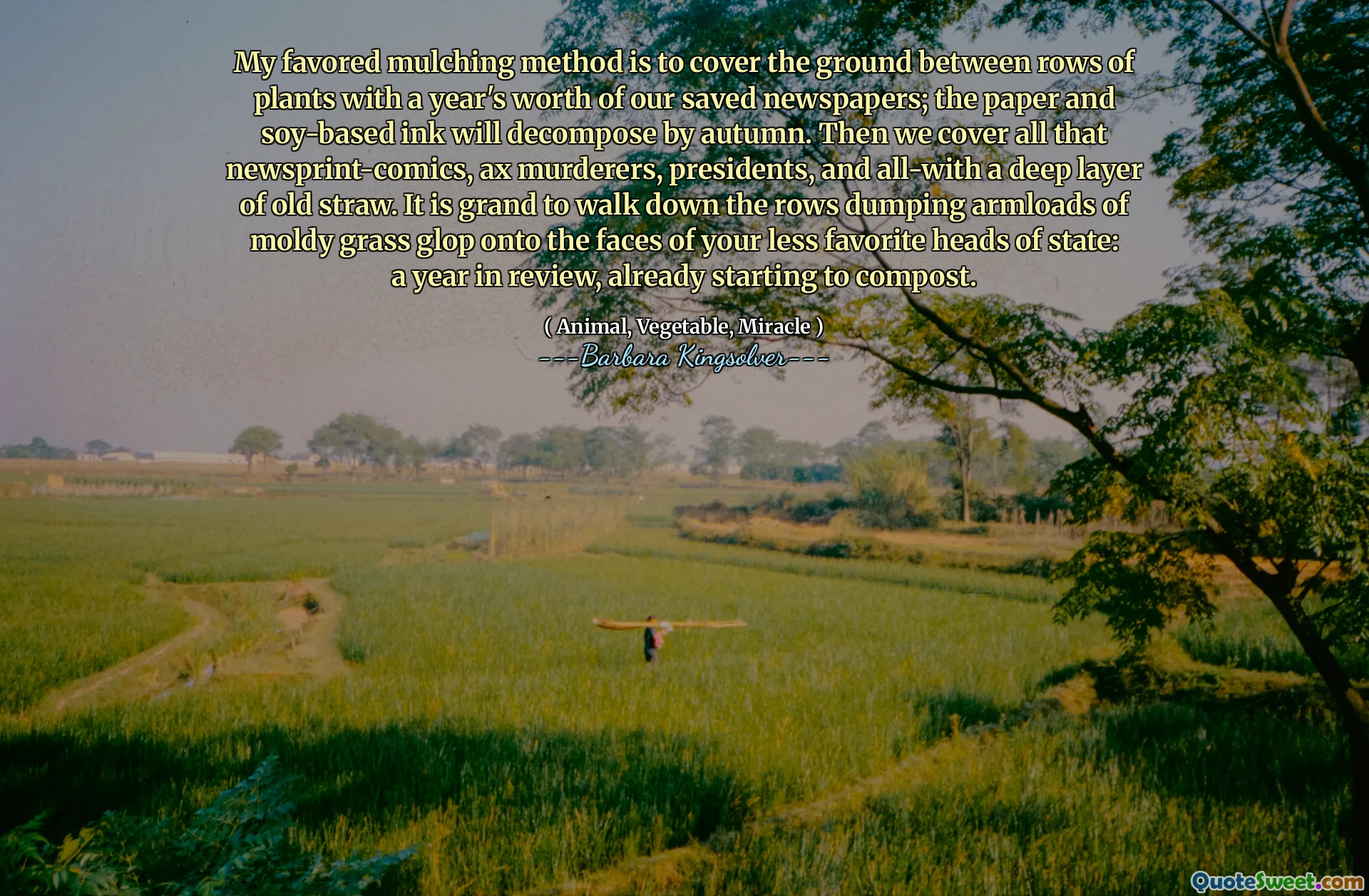 Meine bevorzugte Mulching -Methode ist es, den Boden zwischen Pflanzenreihen mit einem Jahr in unseren geretteten Zeitungen zu decken. Das Papier und die Tinte auf Soja basieren werden sich im Herbst zersetzen. Dann berichten wir über all diese Zeitungspapier-Komik, Axtmörder, Präsidenten und all eine tiefe Schicht alter Strohhalme. Es ist großartig, die Reihen entlang zu gehen, die Armladungen von schimmeligen Gras -Glop auf die Gesichter Ihrer weniger bevorzugten Staatsoberhäupter ablegen: ein Jahr in Überprüfung, bereits zu kompostieren.