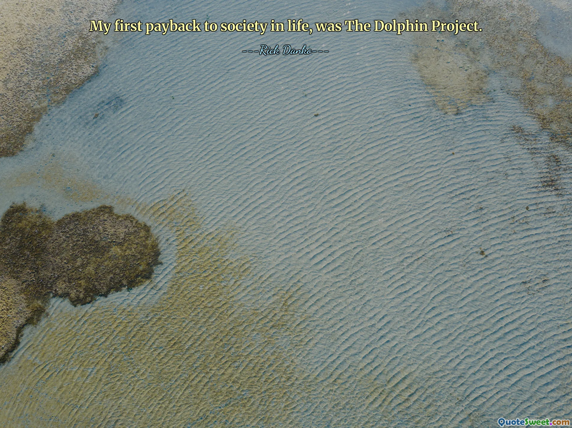 My first payback to society in life, was The Dolphin Project.