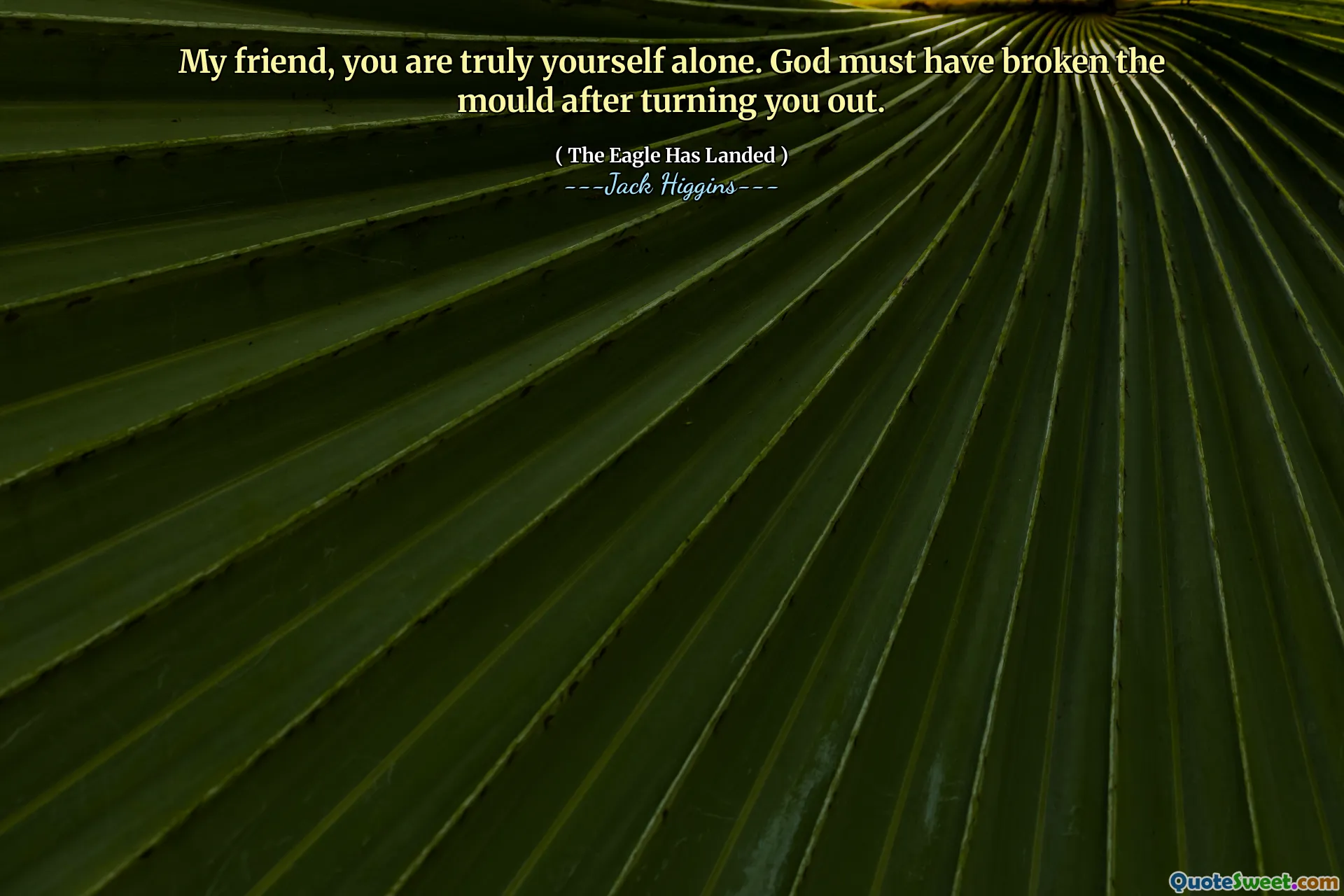 My friend, you are truly yourself alone. God must have broken the mould after turning you out.