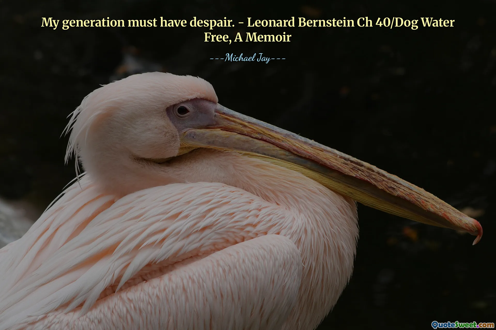 My generation must have despair. - Leonard Bernstein Ch 40/Dog Water Free, A Memoir